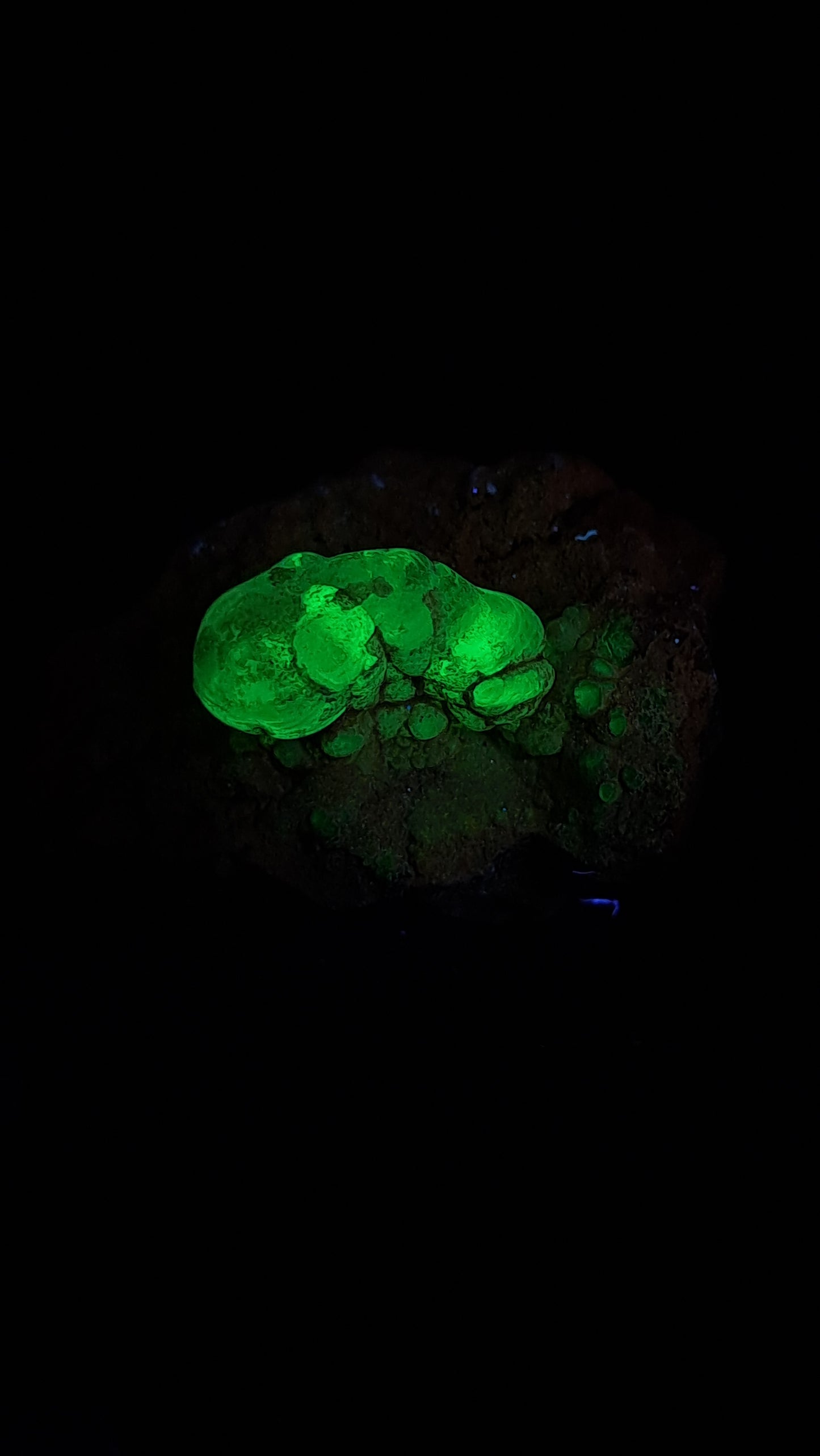 Hyalite Opal on Matrix (Mexico) Rough Crystal Stone | UV-Reactive Mineral Specimen #OH5