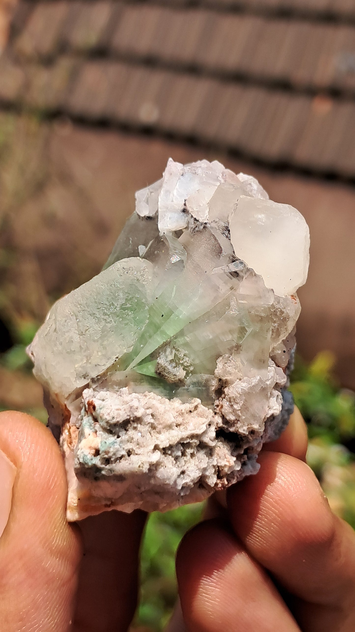 Apofilita Verde (Fluorapofilita) en Matriz (Ajanta) Cristal Natural | Muestra Mineral #GA24