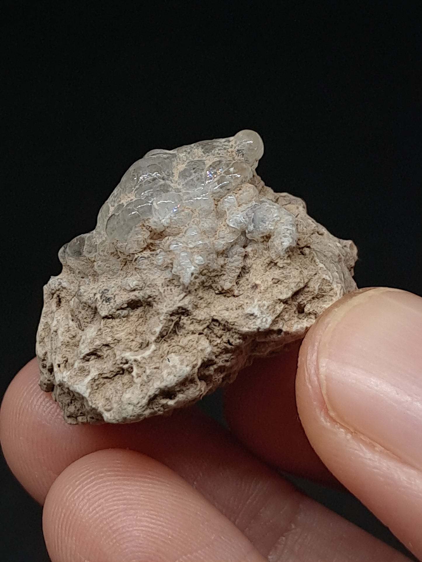 Hyalite Opal on Matrix (Mexico) Rough Crystal Stone | UV-Reactive Mineral Specimen #OH10