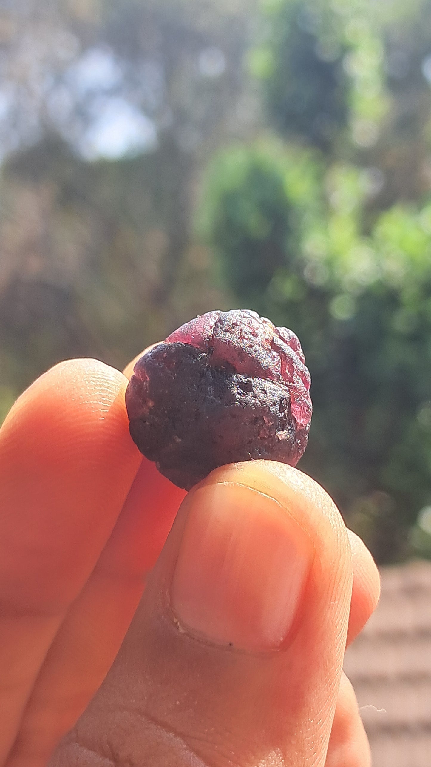 Granate rojo (Karur) | Pulido por río | Piedra natural #RG7