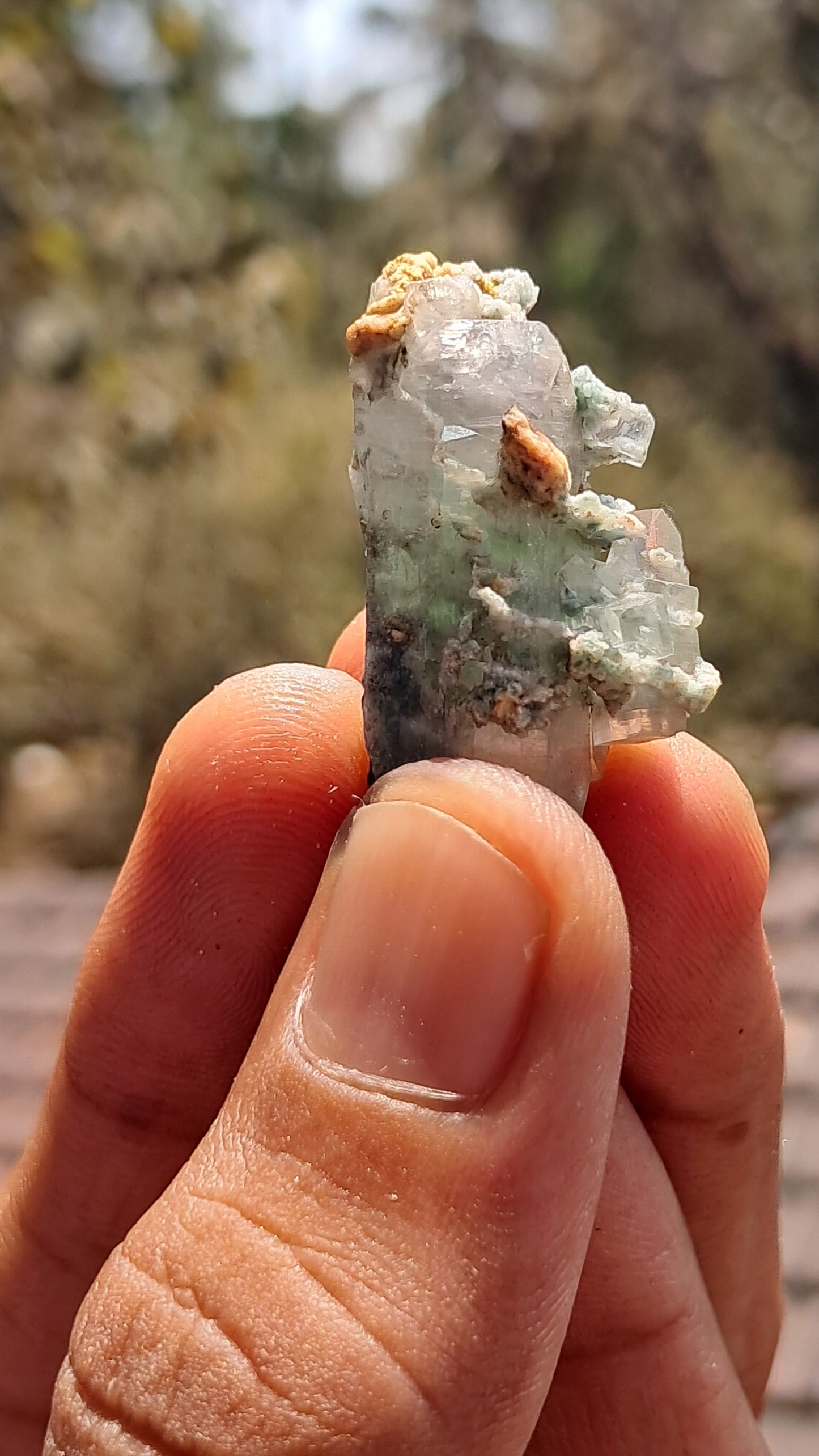 Green Apophyllite (Fluorapophyllite) (Ajanta) Natural Crystal | Mineral Specimen #GA25