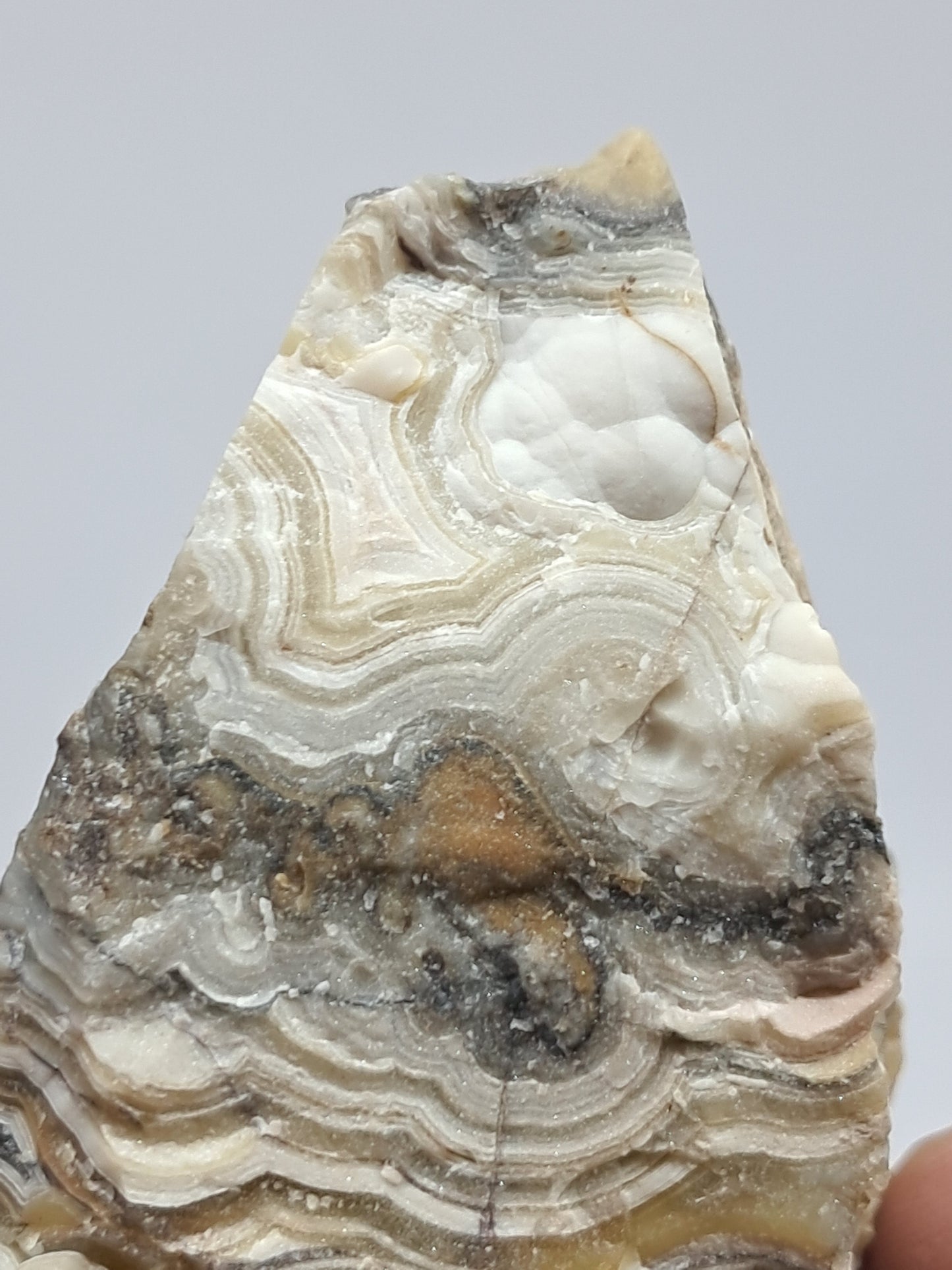 Crazy Lace Agate Rough | Natural Stone | Mineral Specimen #CLA1