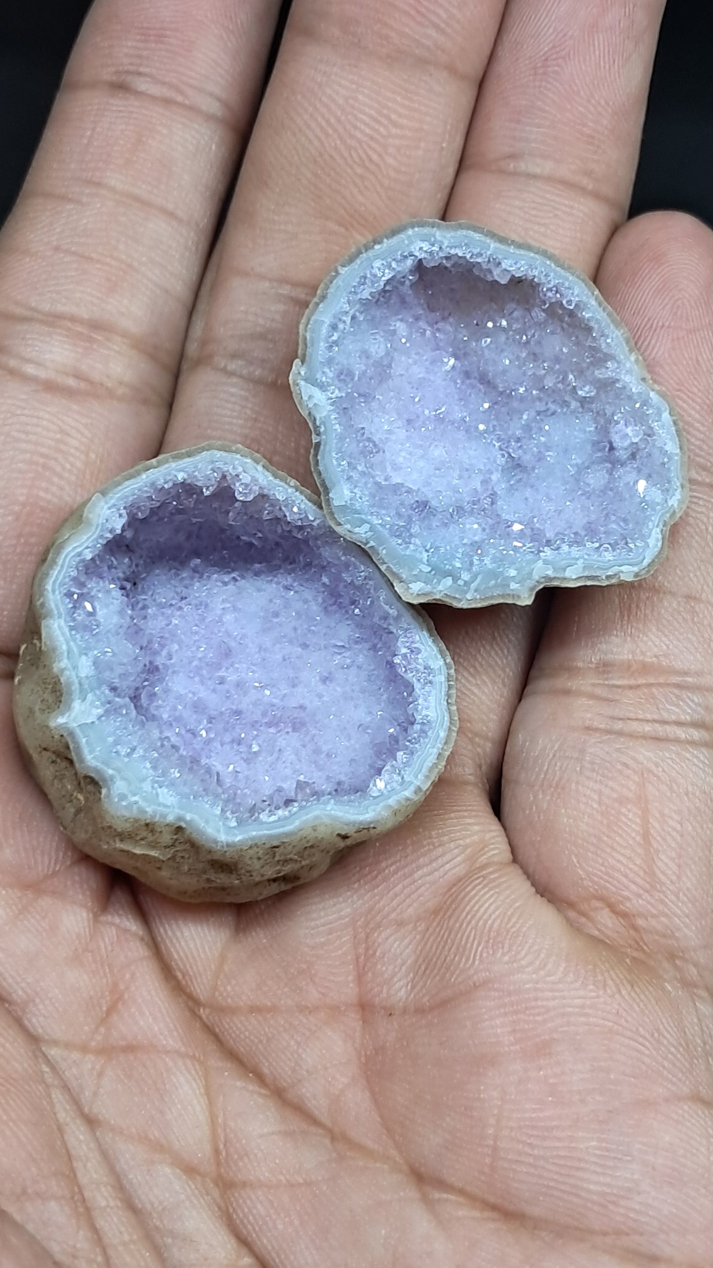 Amethyst Geode (Ajanta) | Deep Cavity | Natural Crystal | Rough Stone #GD31