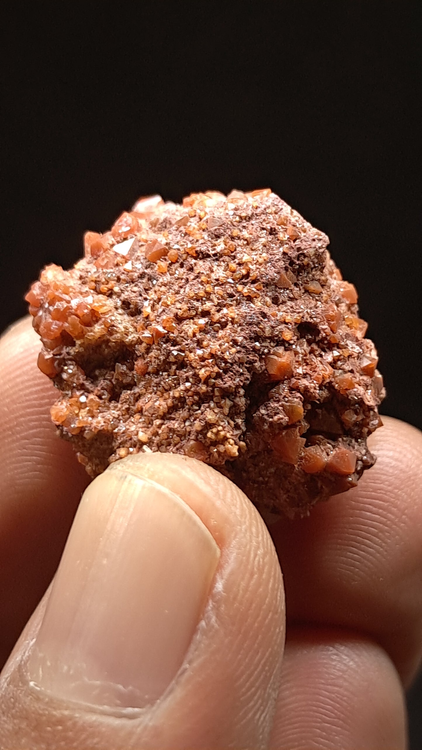 Jacinto de Compostela Quartz On Matrix | Natural Crystal | Mineral Specimen #JCQ9