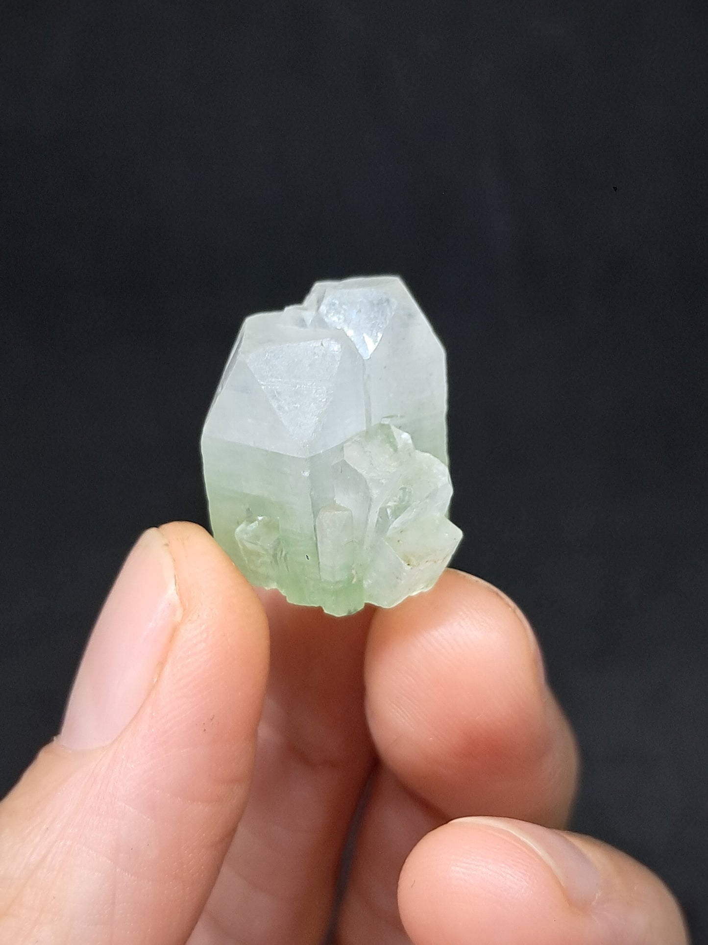 Green Apophyllite (Fluorapophyllite) (Ajanta) Natural Crystal | Mineral Specimen #GA40