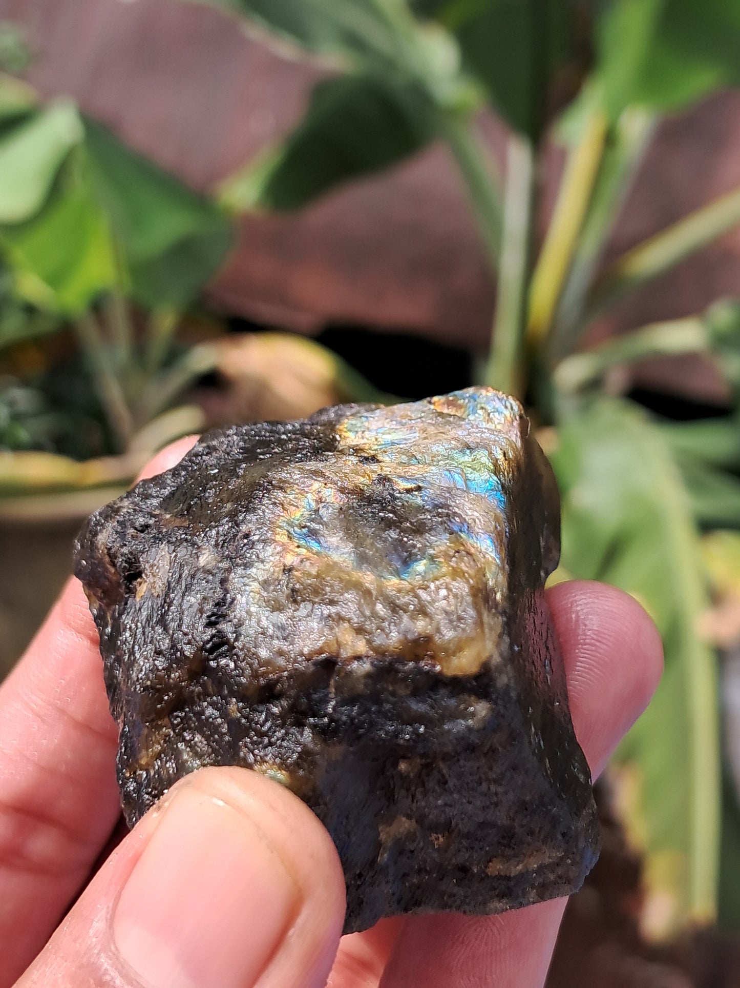 Labradorite Raw (Madagascar) | Strong Flash #LB7