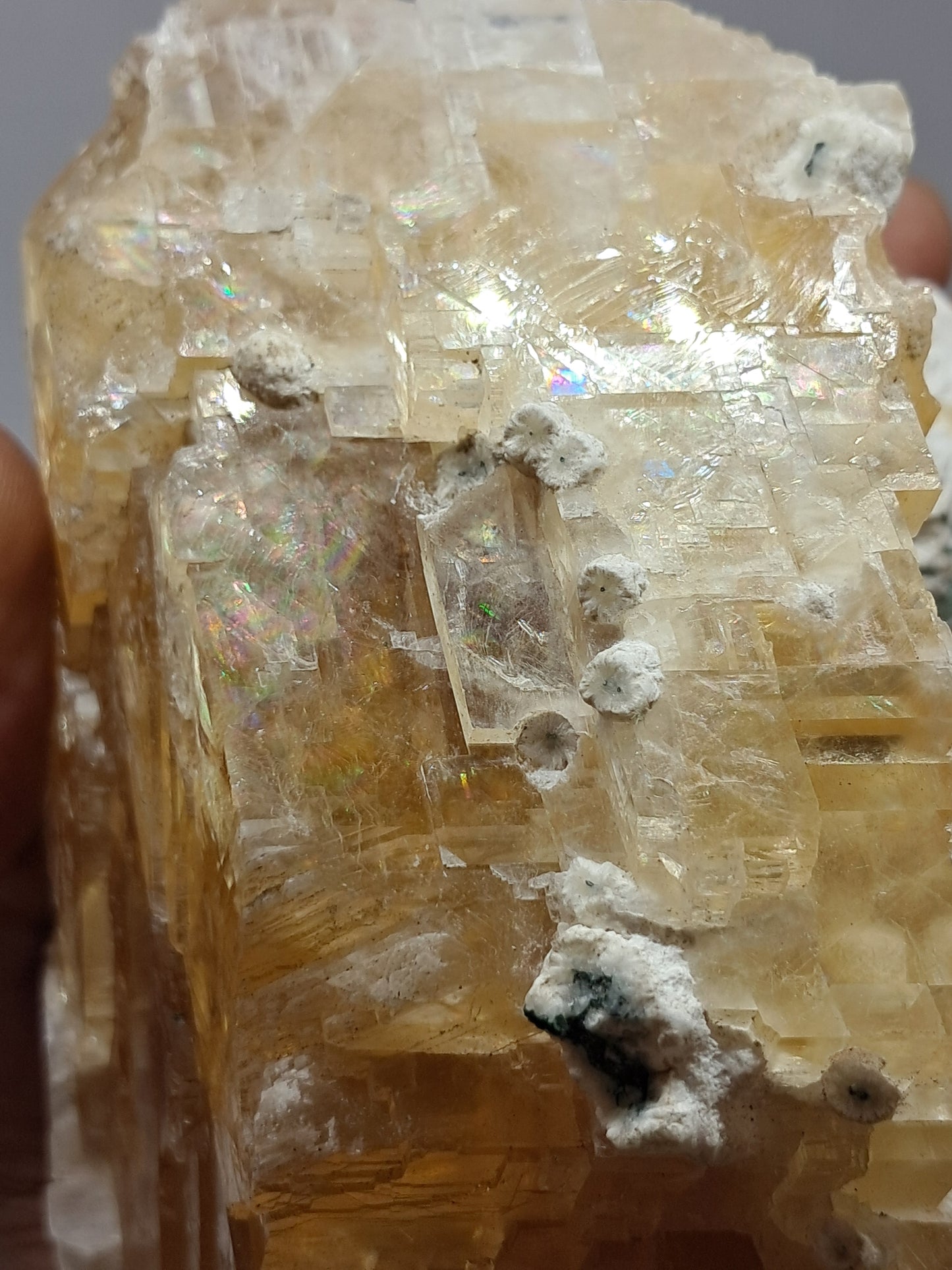 Honey Calcite w/ Okenite (India) Rough Crystal | Natural Stone | Mineral Specimen #CA19