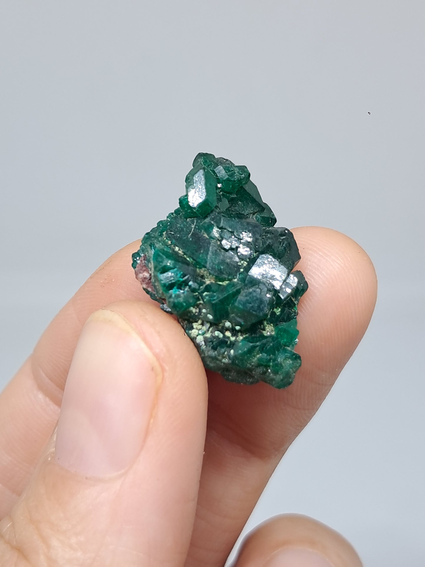 Cúmulo natural de dioptasa (República Democrática del Congo) | Cristal en bruto | Ejemplar mineral n.° DPT3