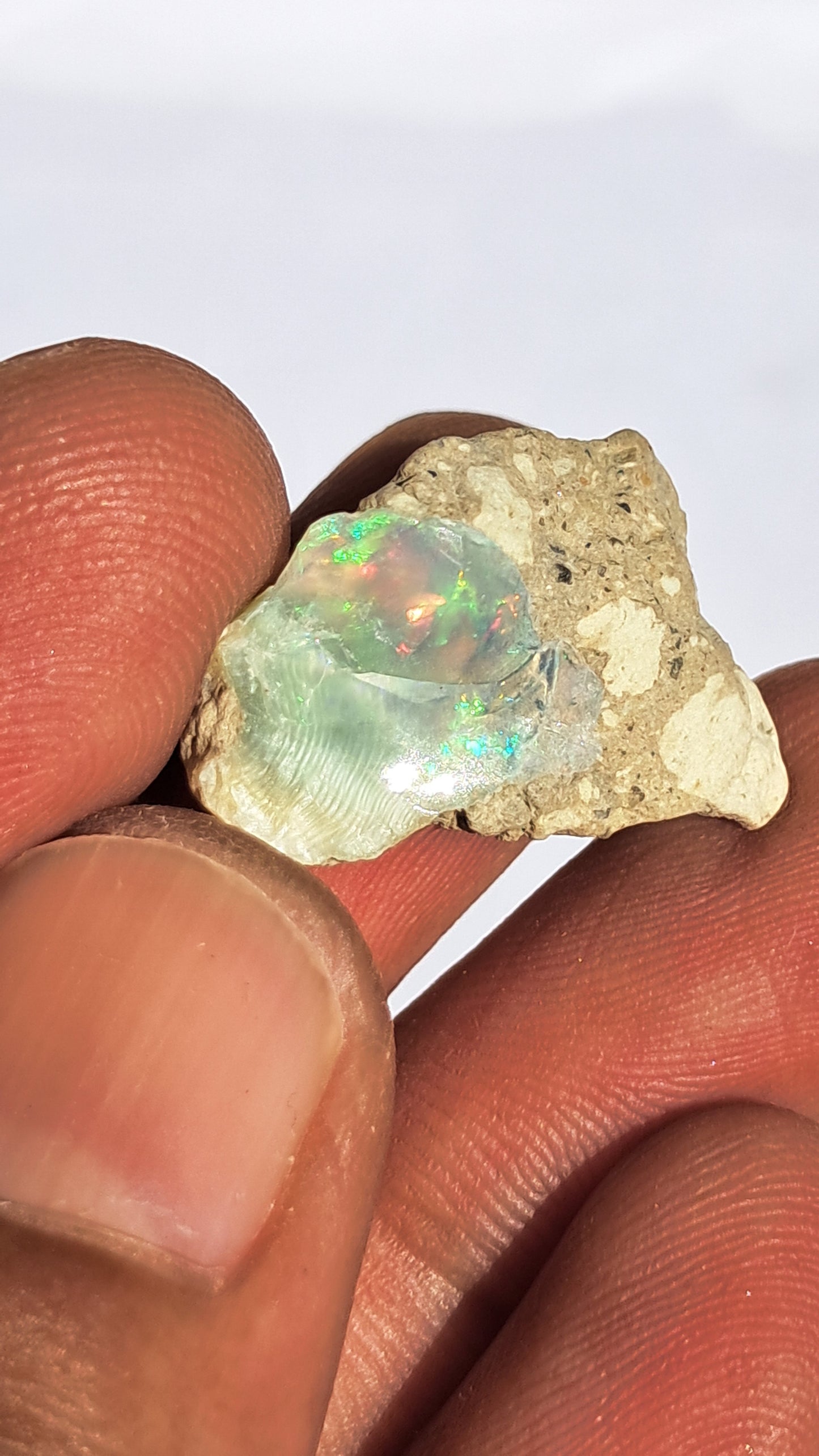 Natural Ethiopian Opal Rough | White Hydrophane Opal w/ Bright Play of Color #OP2