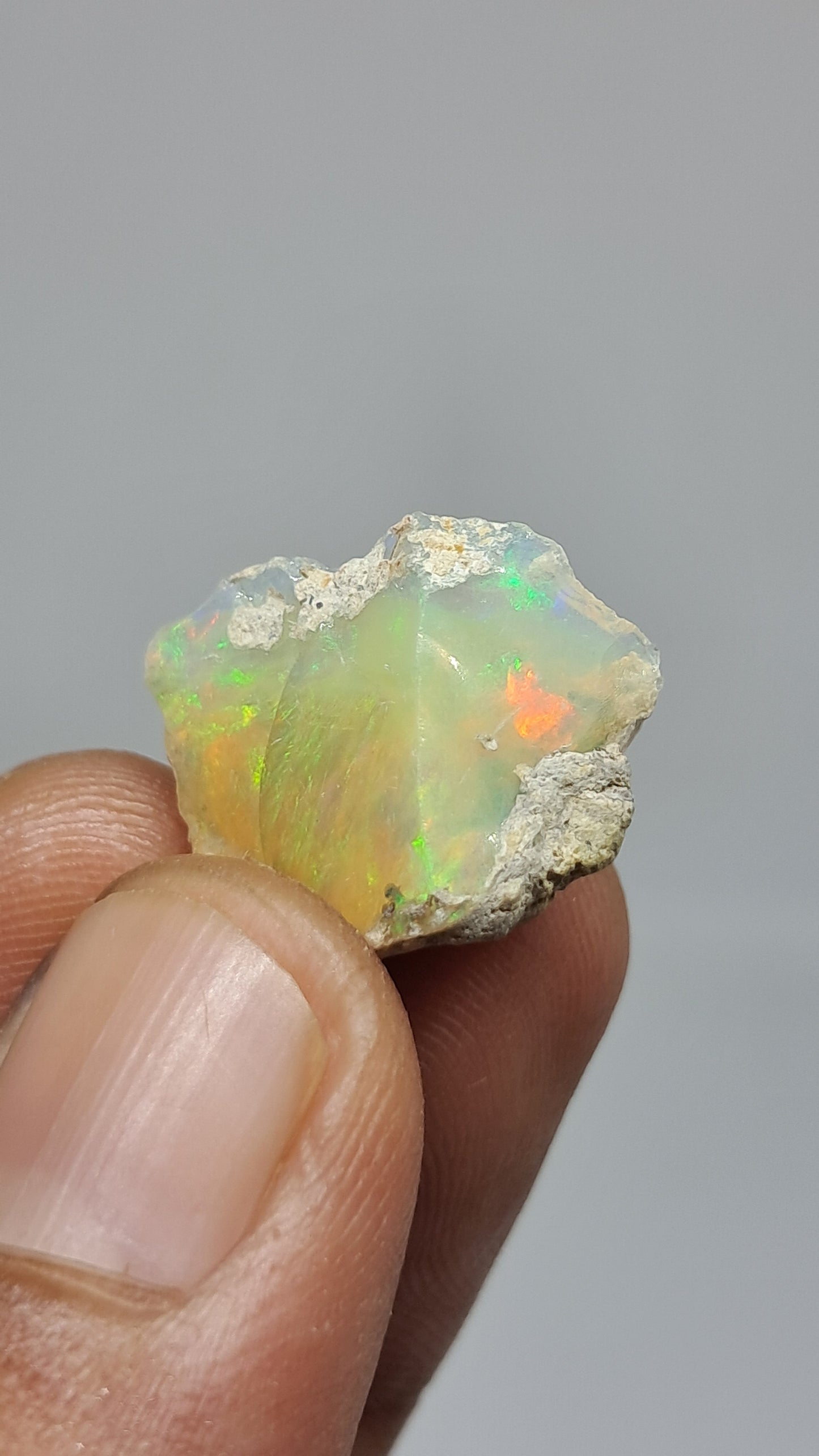 Natural Ethiopian Opal Rough | White Hydrophane Opal with Bright Play of Color #OP23