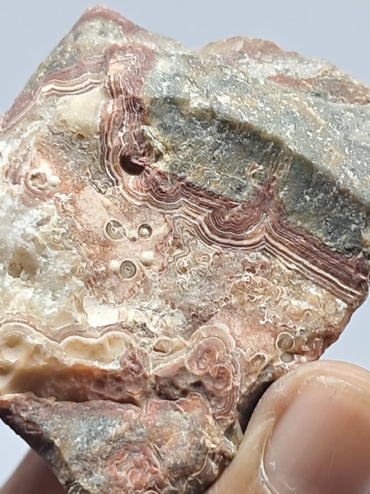 Crazy Lace Agate Rough | Natural Stone | Mineral Specimen #CLA3