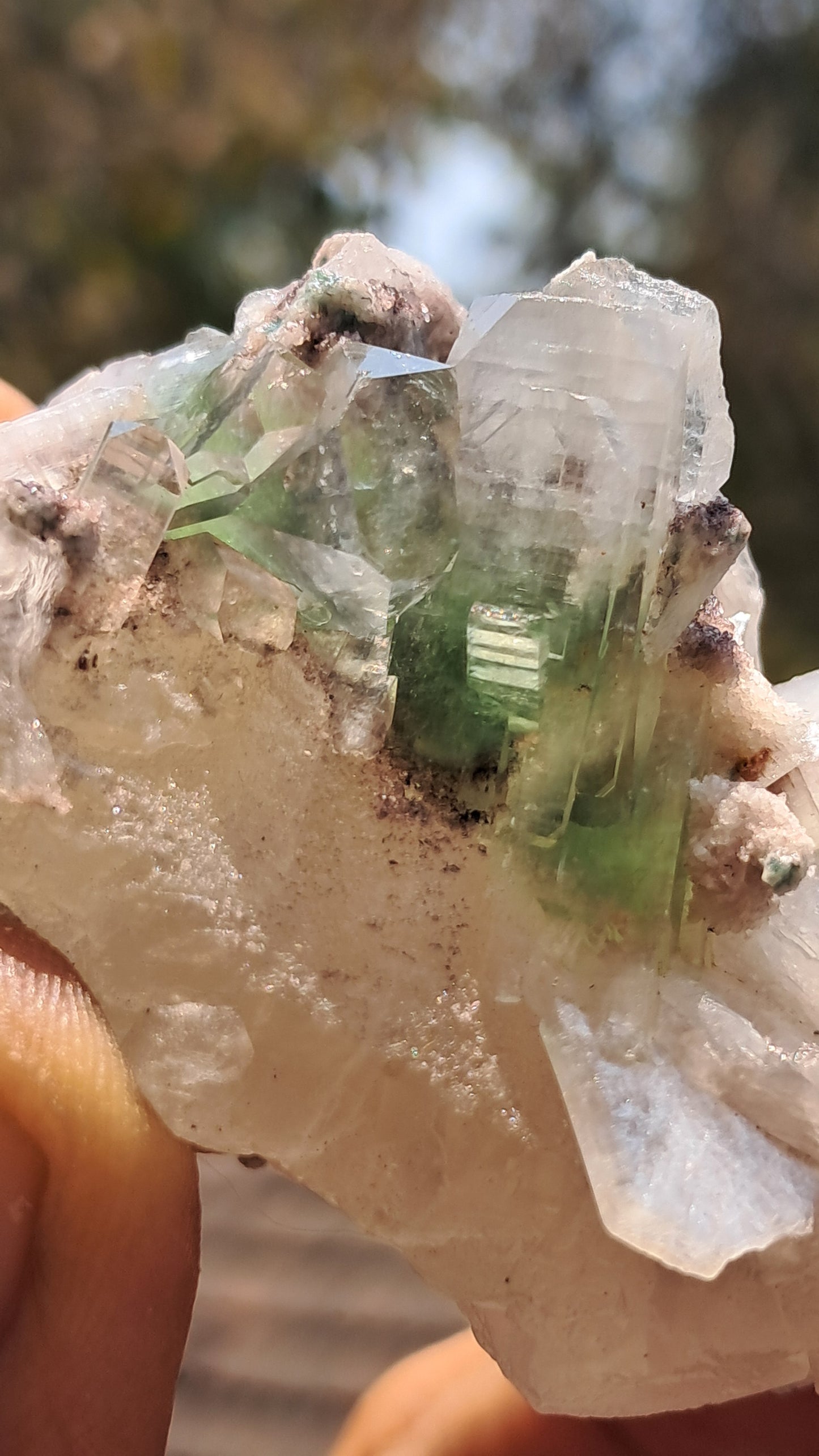 Apofilita Verde (Fluorapofilita) con Estilbita sobre Matriz de Calcedonia Botroidal (Ajanta) Cristal Natural | Muestra de Mineral #GA19