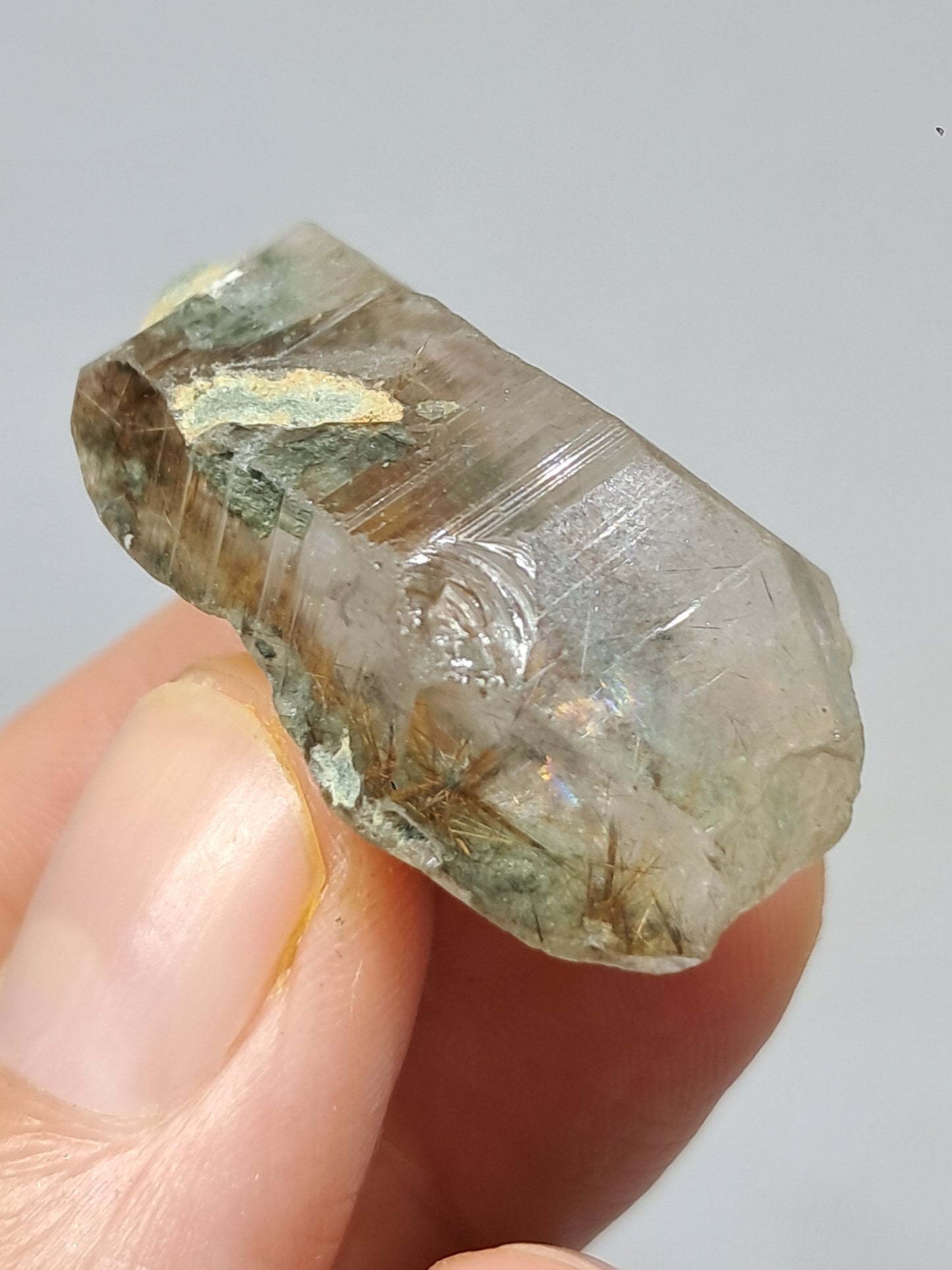 Quartz w/ Chlorite and Golden Rutile Inclusions (Kullu) Rough Stone | Natural Crystal Point | Mineral Specimen #CH44