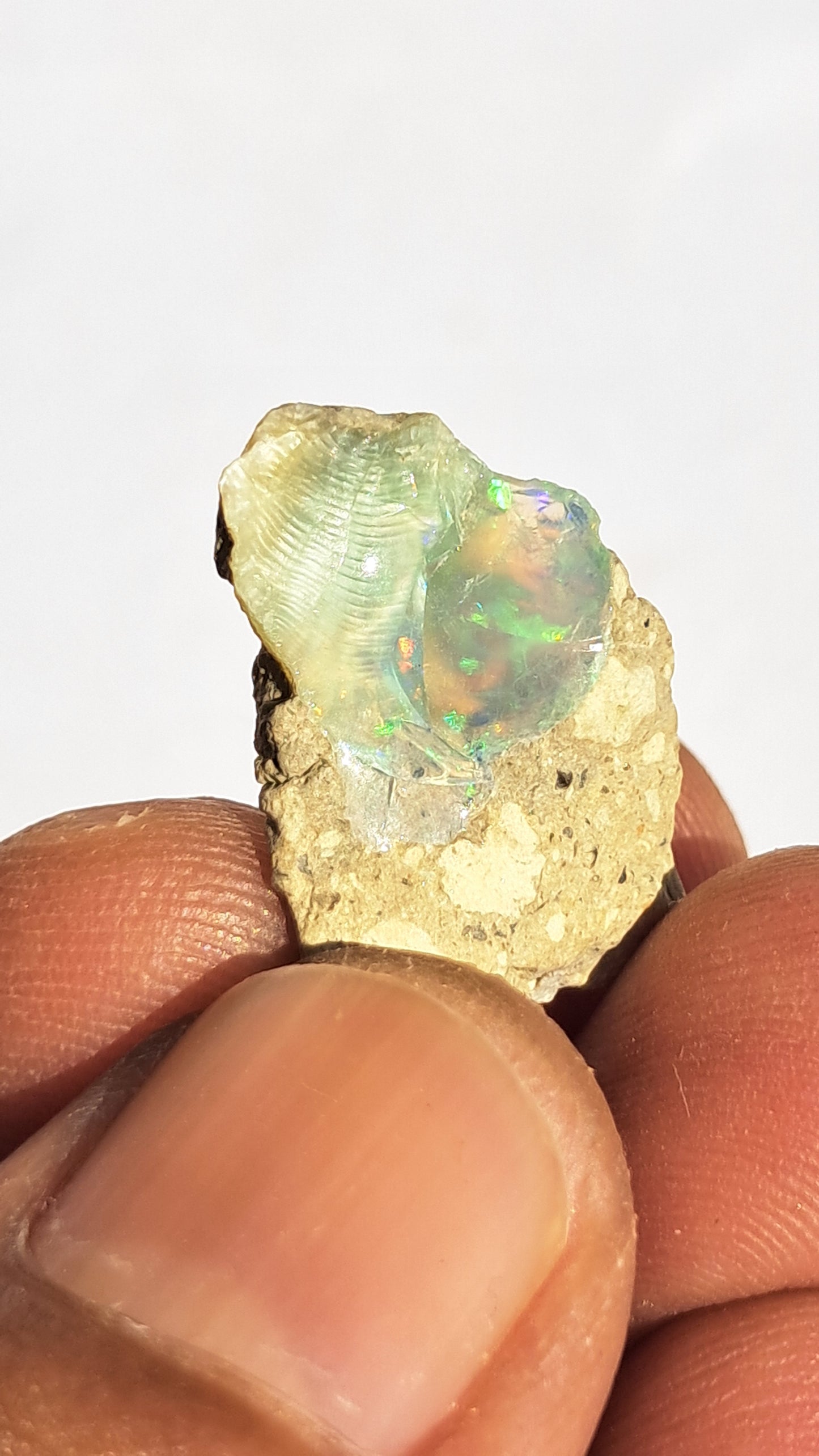 Natural Ethiopian Opal Rough | White Hydrophane Opal w/ Bright Play of Color #OP2