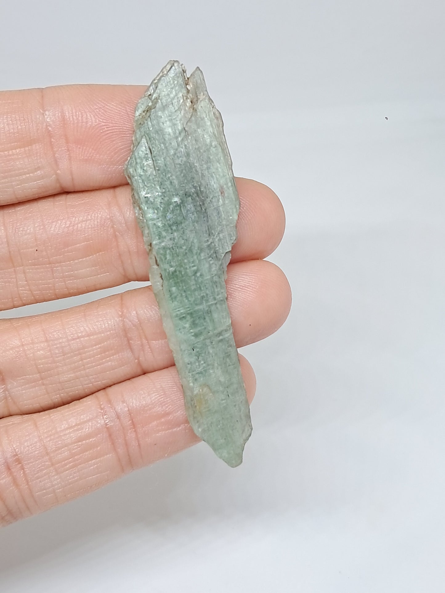 Green Kyanite (Tamil Nadu) Natural Crystal #KY9