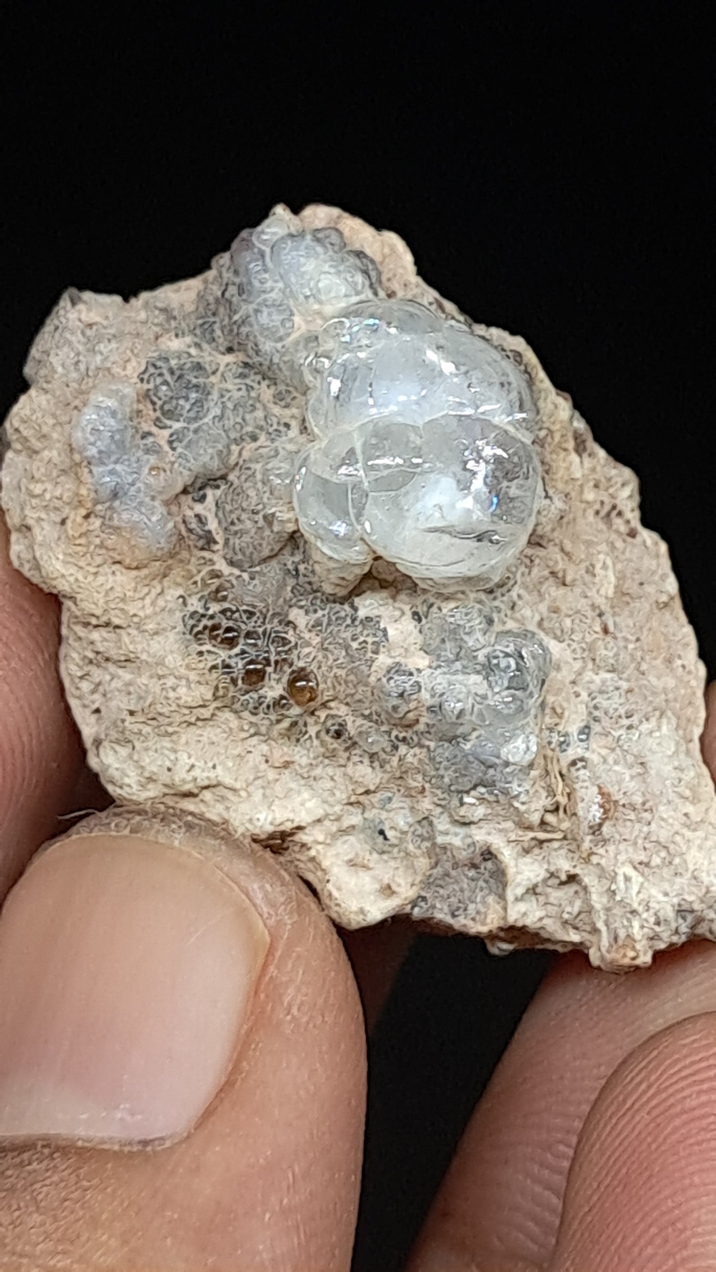 Hyalite Opal on Matrix (Mexico) Rough Crystal Stone | UV-Reactive Mineral Specimen #OH1