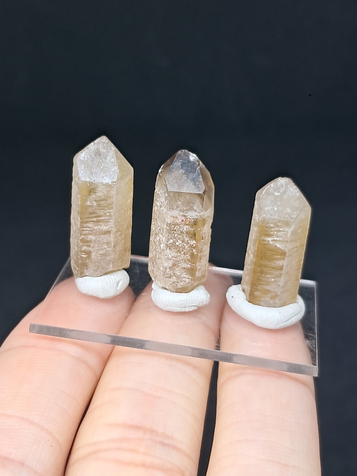 Set of 3 Natural Citrine Crystal Points w/ Phantoms (Karur) #CTN35