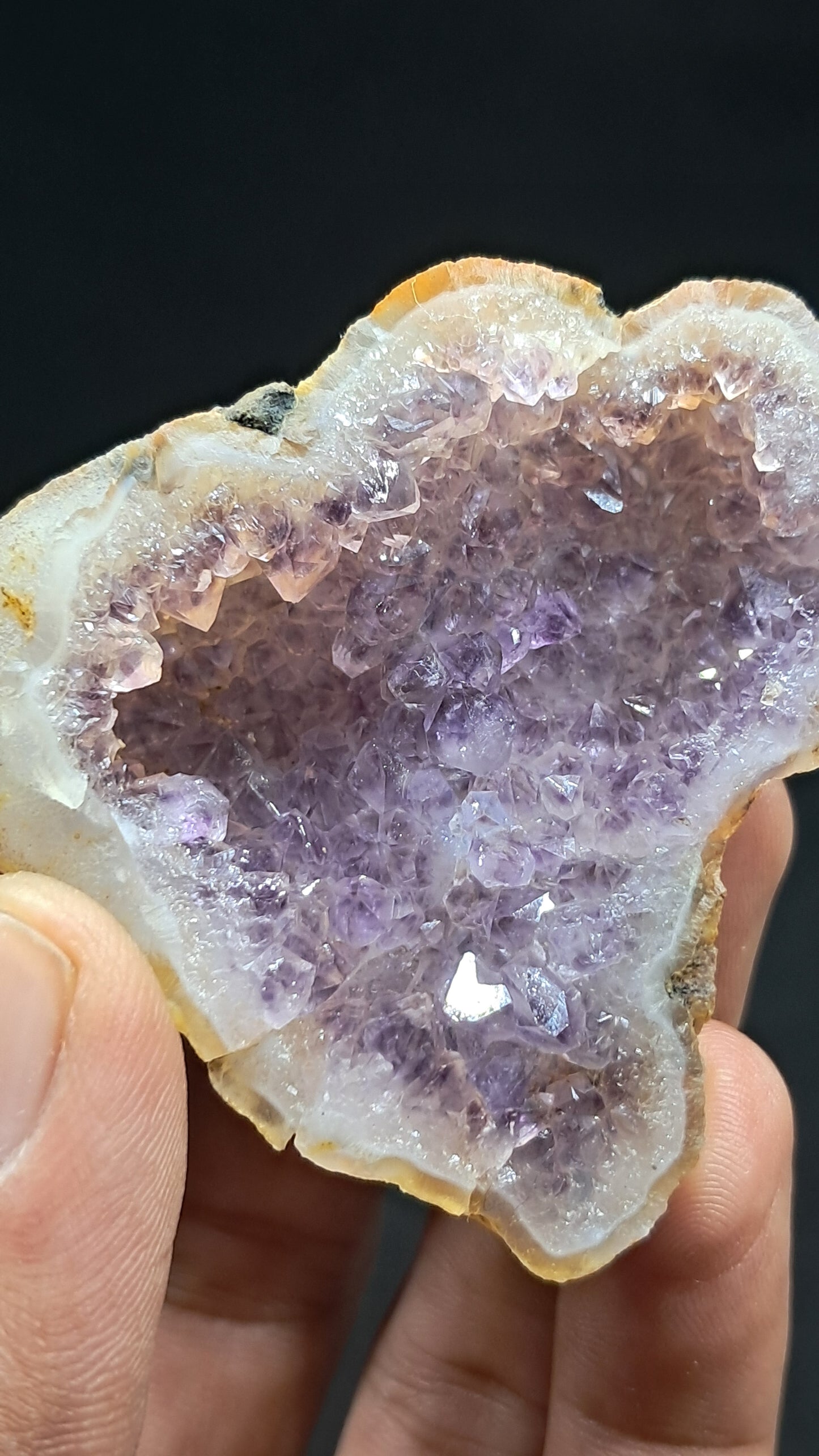 Amethyst Geode (Ajanta) | Deep Cavity | Natural Crystal | Rough Stone #GD35