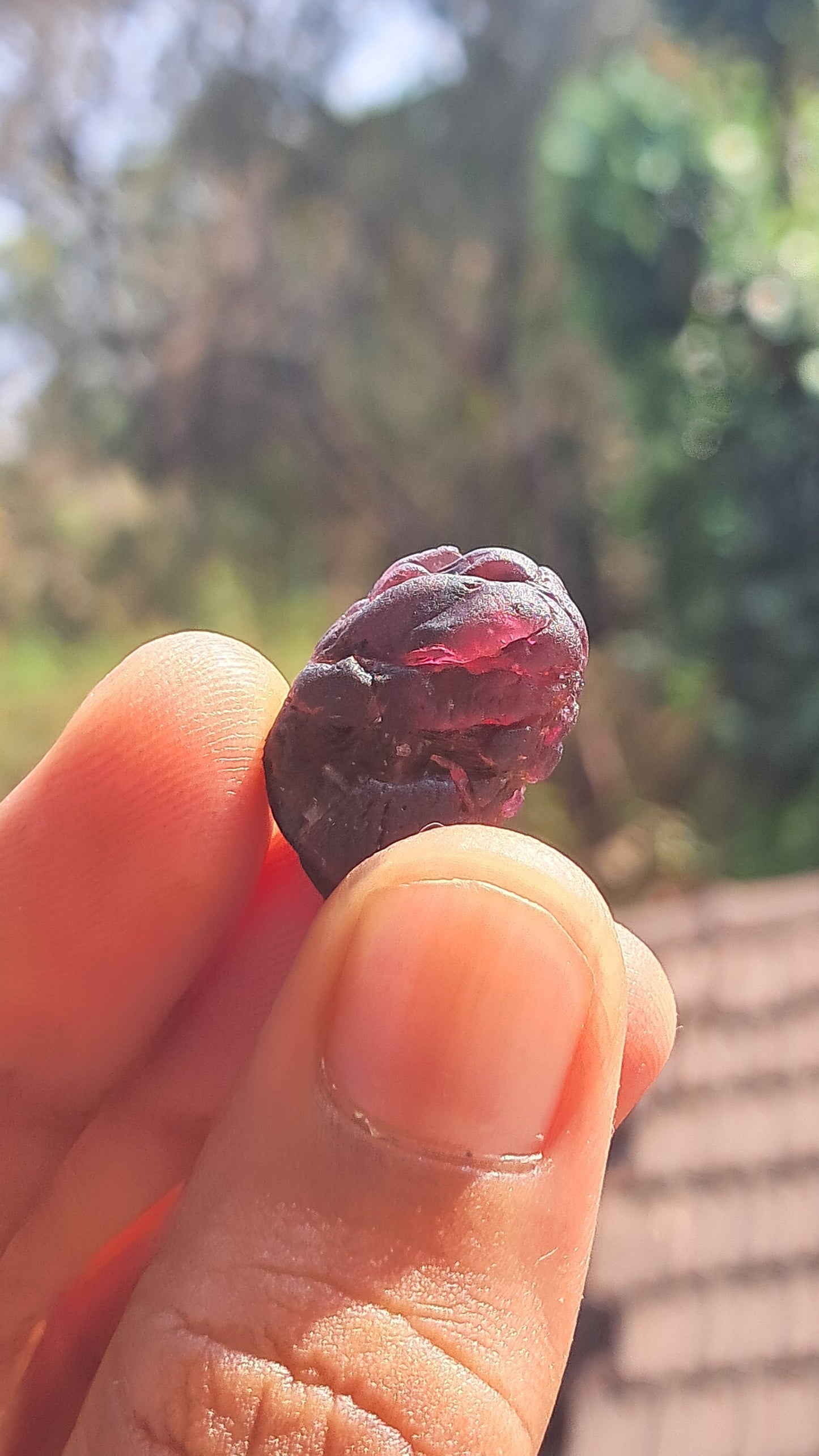 Granate rojo (Karur) | Pulido por el río | Piedra natural #RG9
