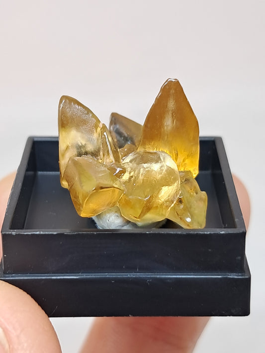 'Dog Tooth' Yellow Honey Calcite (Ahmednagar) UV Reactive Natural Crystal | Mineral Specimen #CA21