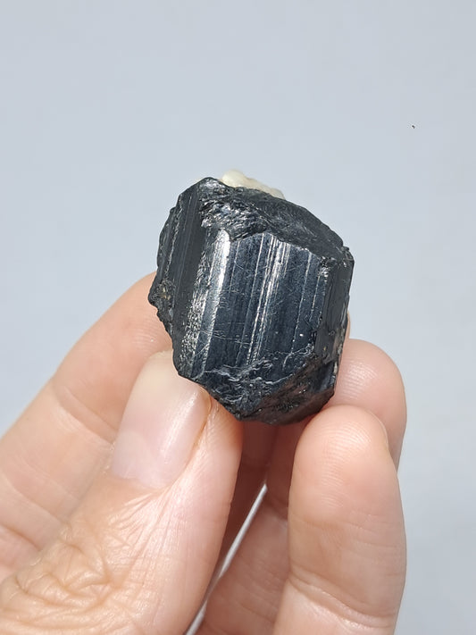 Black Tourmaline Crystal (Karnataka) Natural Stone | Mineral Specimen #BT9