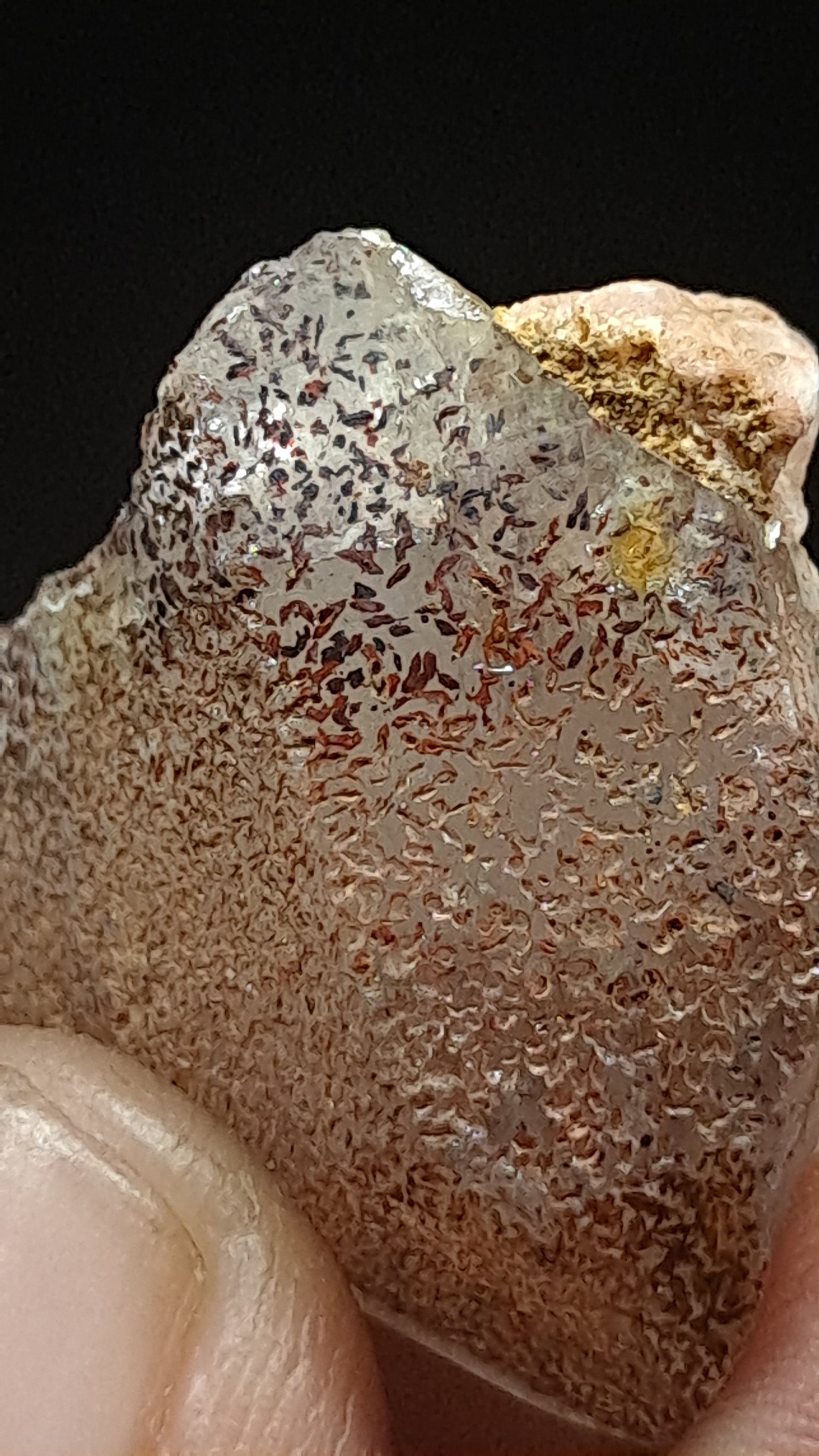 Smokey Elestial Quartz (Karur) Interesting Inclusions | Mineral Specimen #EQ31