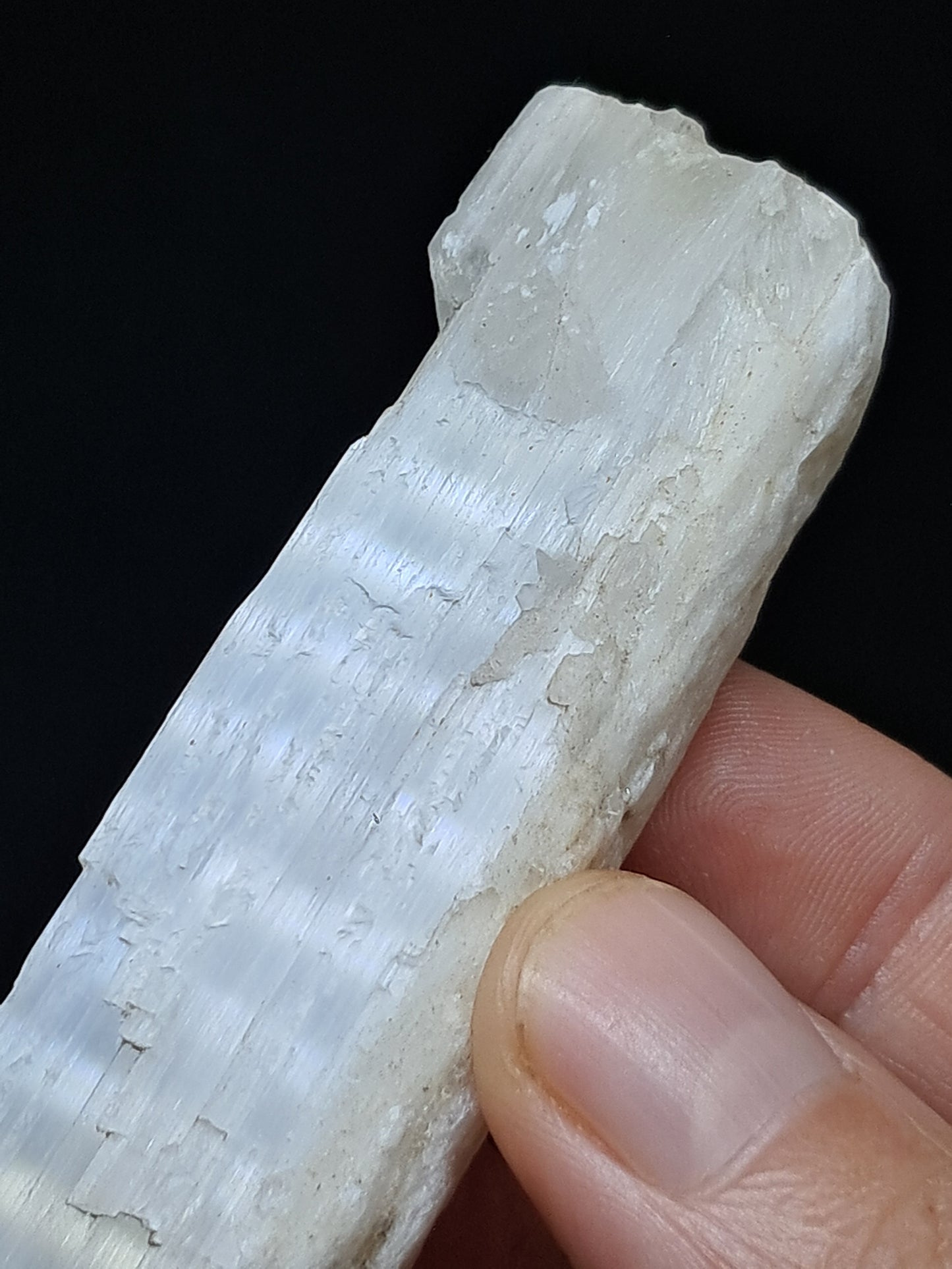 Satin Spar *Selenite* (India) Fibrous Gypsum | Mineral Specimen | Rough Crystal #SE2