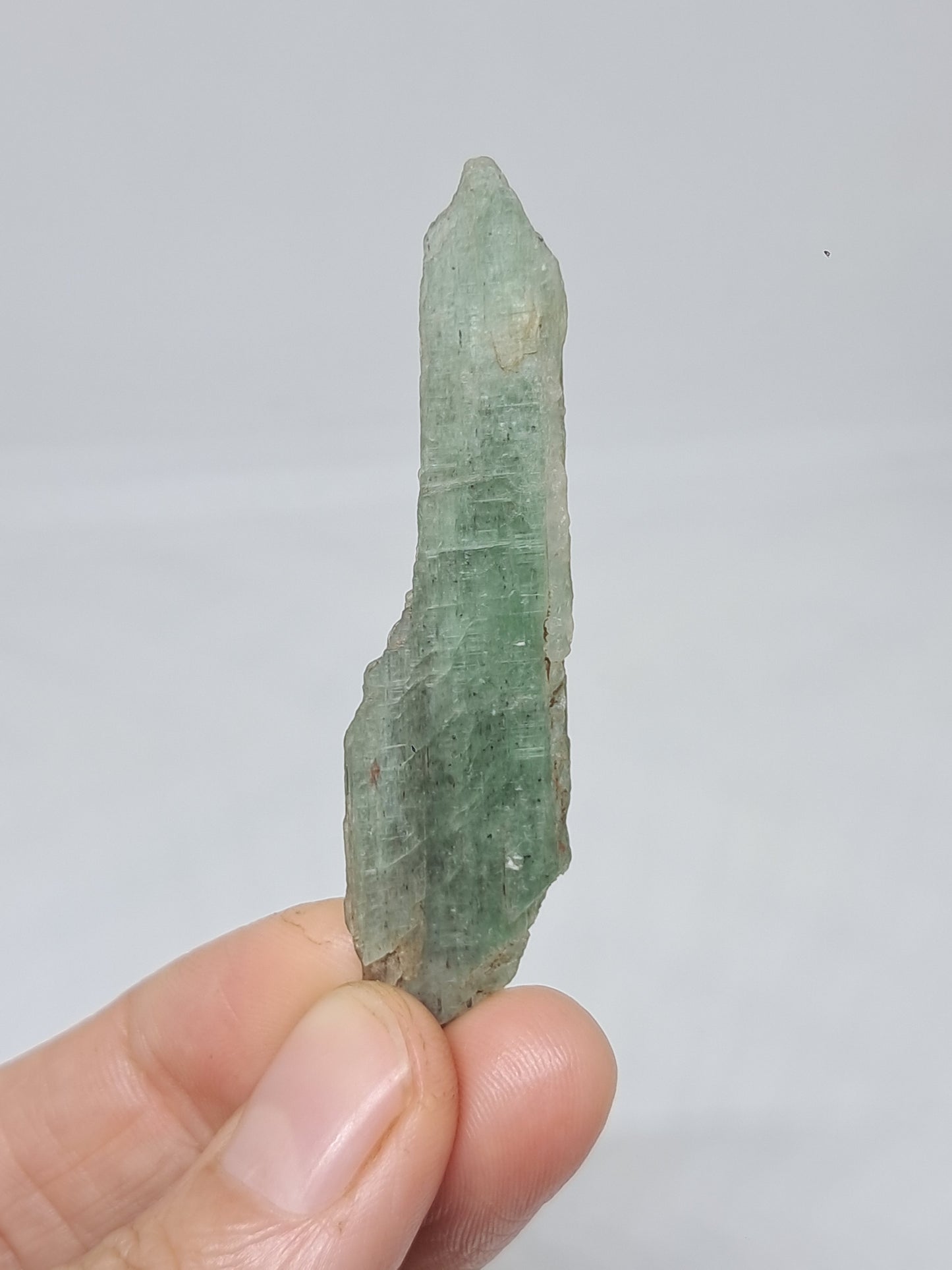 Green Kyanite (Tamil Nadu) Natural Crystal #KY9