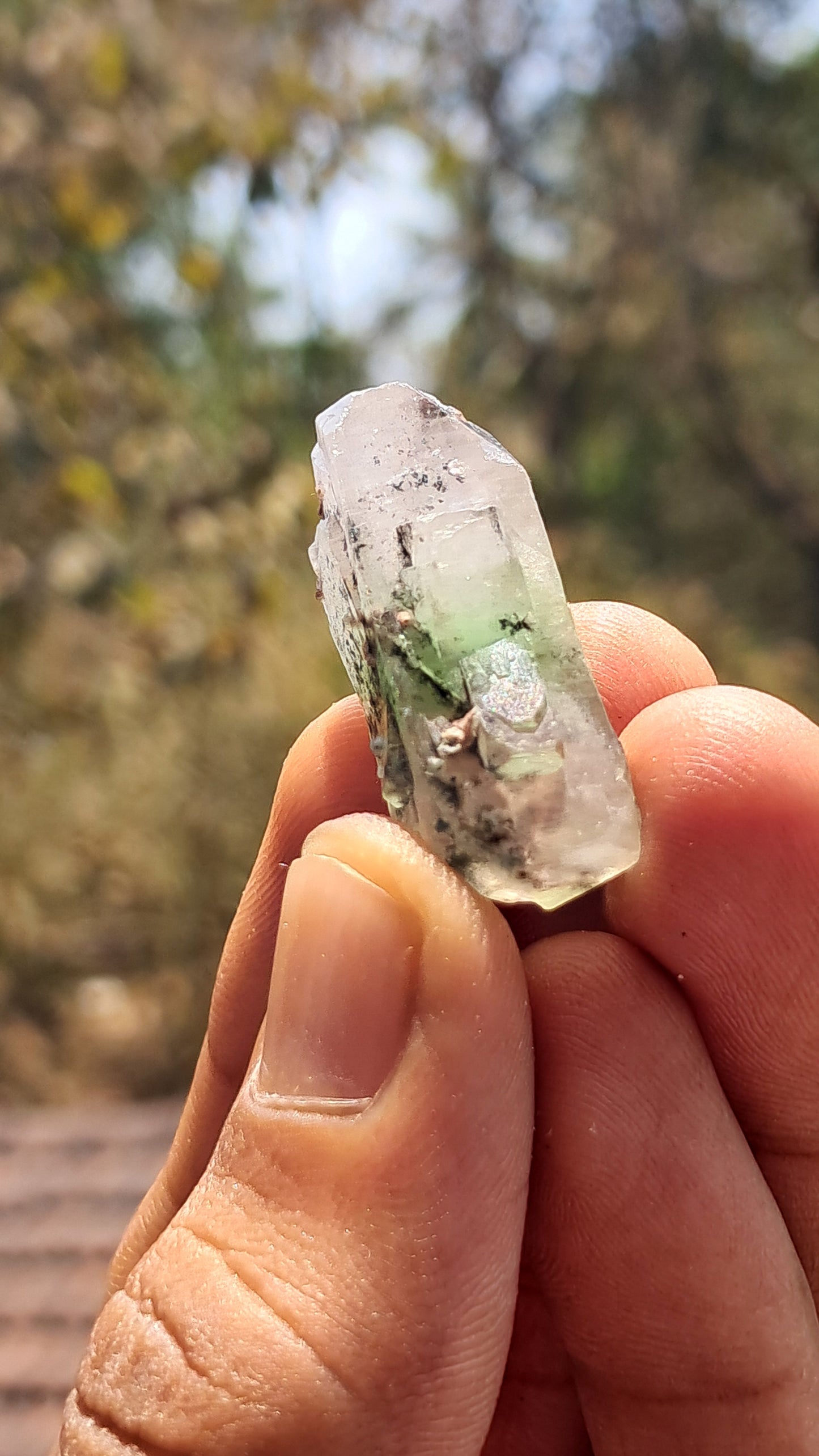 Green Apophyllite (Fluorapophyllite) (Ajanta) Natural Crystal | Mineral Specimen #GA26