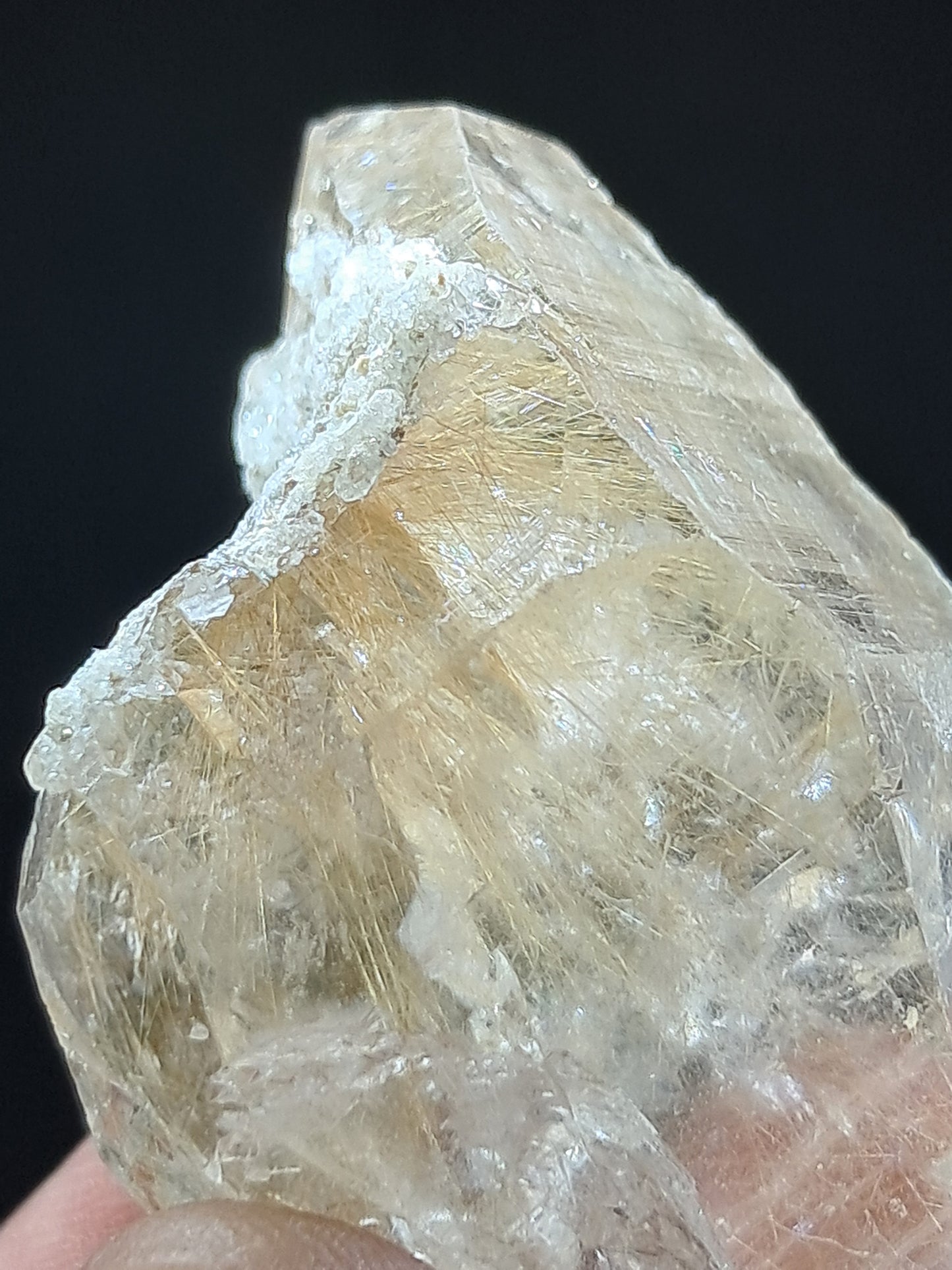 Himalayan Quartz w/ Golden Rutile and Chlorite (Himachal Pradesh) Self-healed |  Natural Crystal #CH60