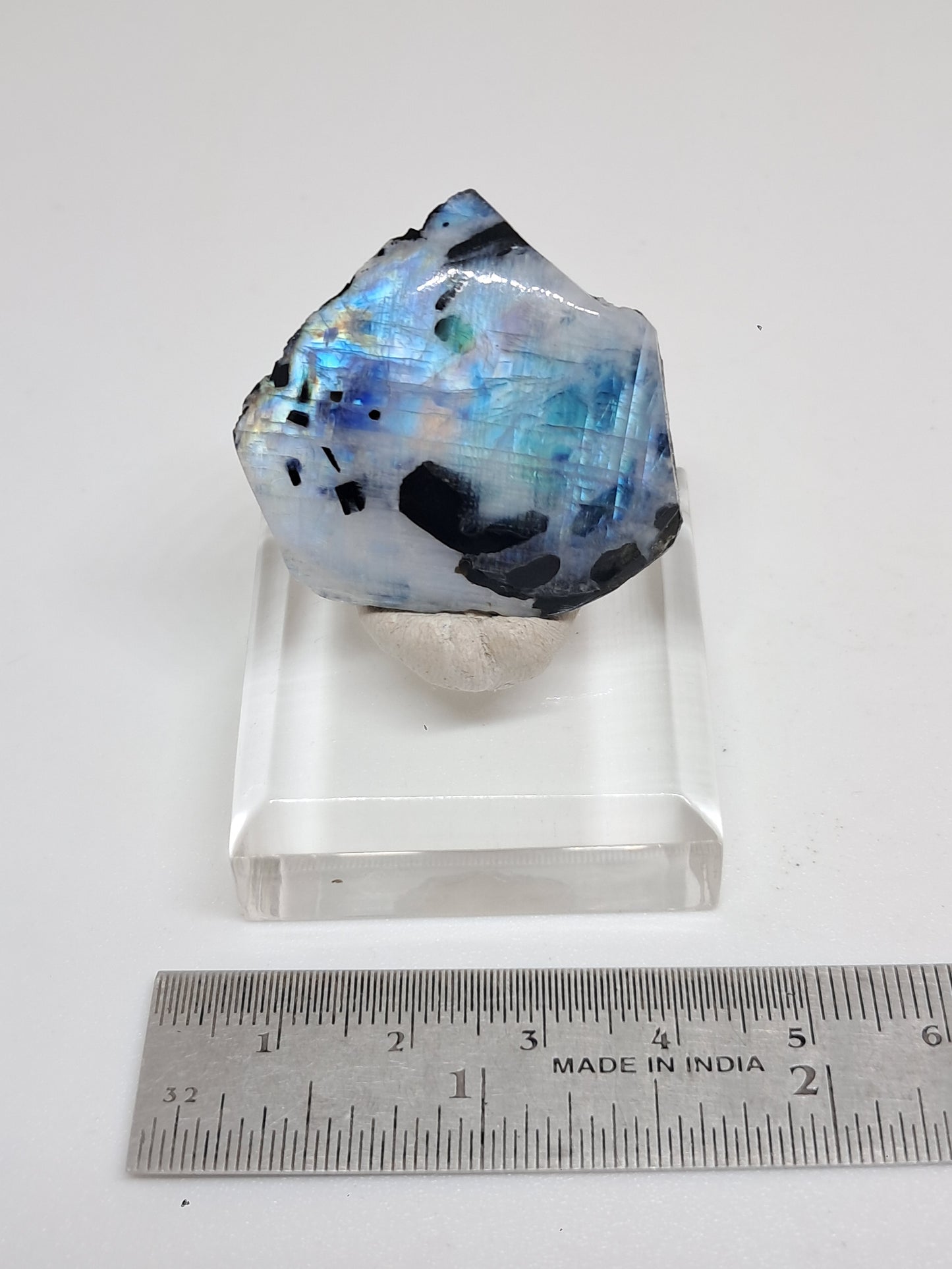 White Labradorite | Rainbow Moonstone *High Grade* (Tamil Nadu) Rough & Polished Stone | Natural Rock #MN17