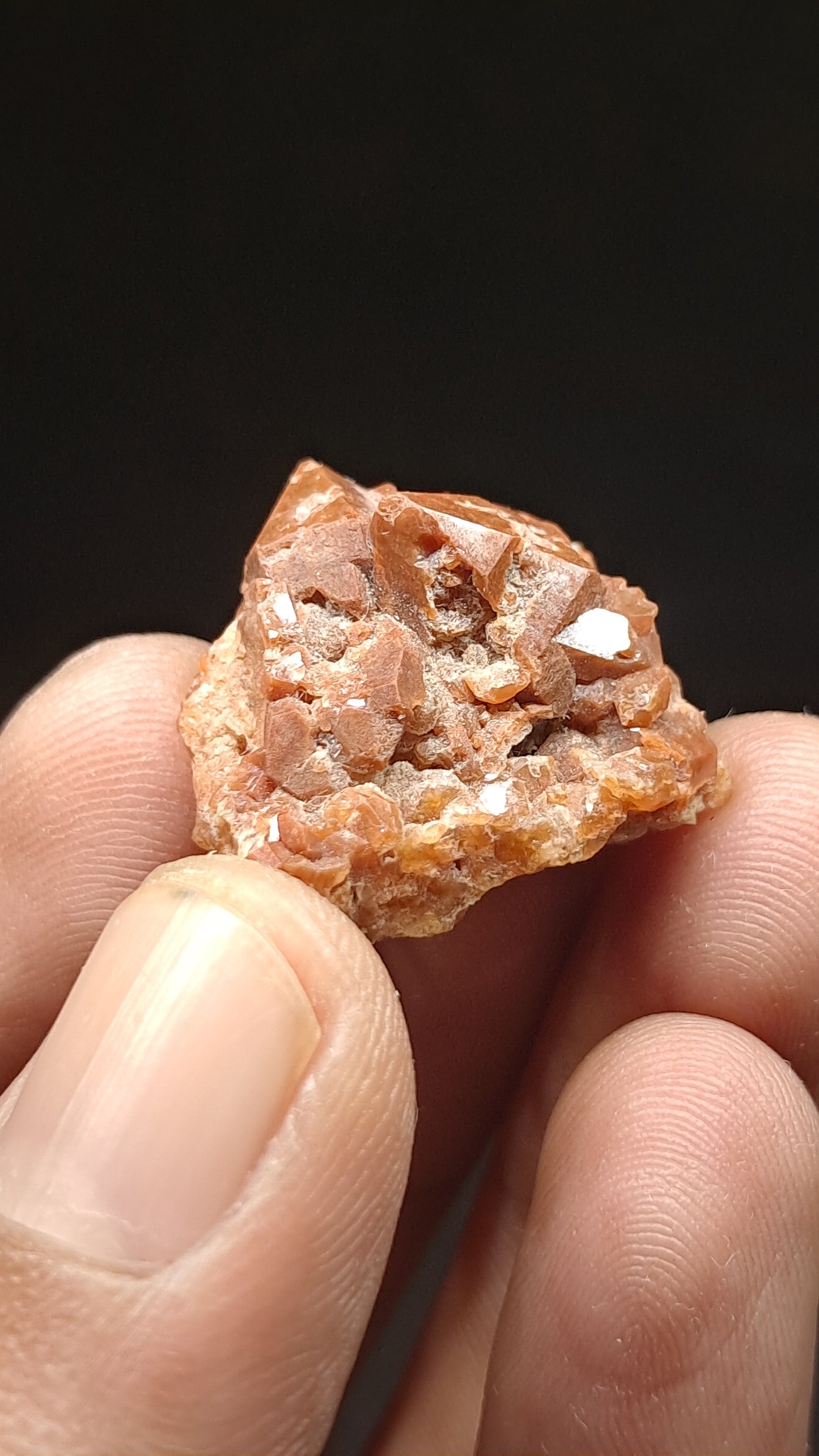 Jacinto de Compostela Quartz | Natural Crystal | Mineral Specimen #JCQ1