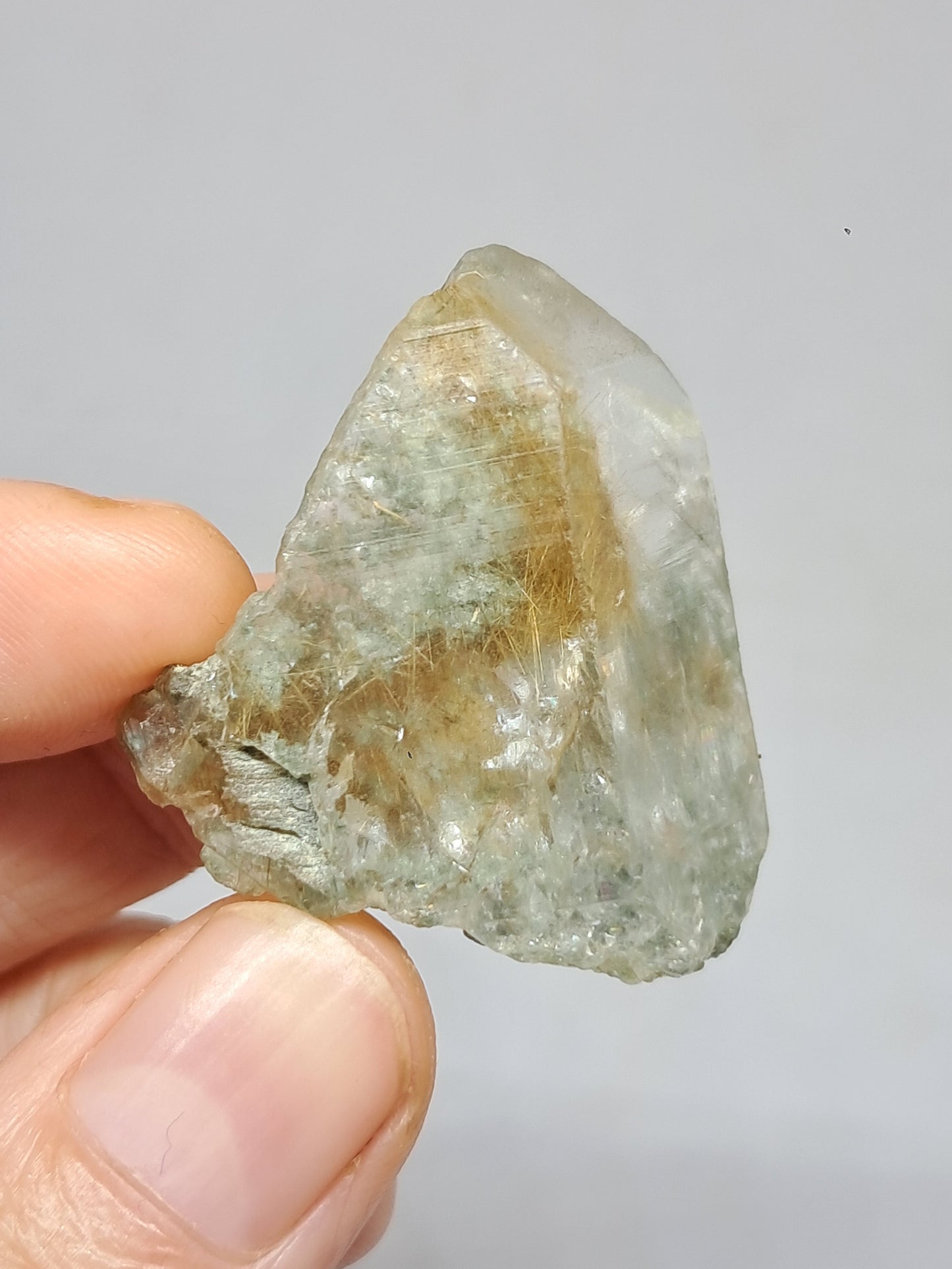 Quartz w/ Chlorite and Golden Rutile Inclusions (Kullu) Rough Stone | Natural Crystal | Mineral Specimen #CH41