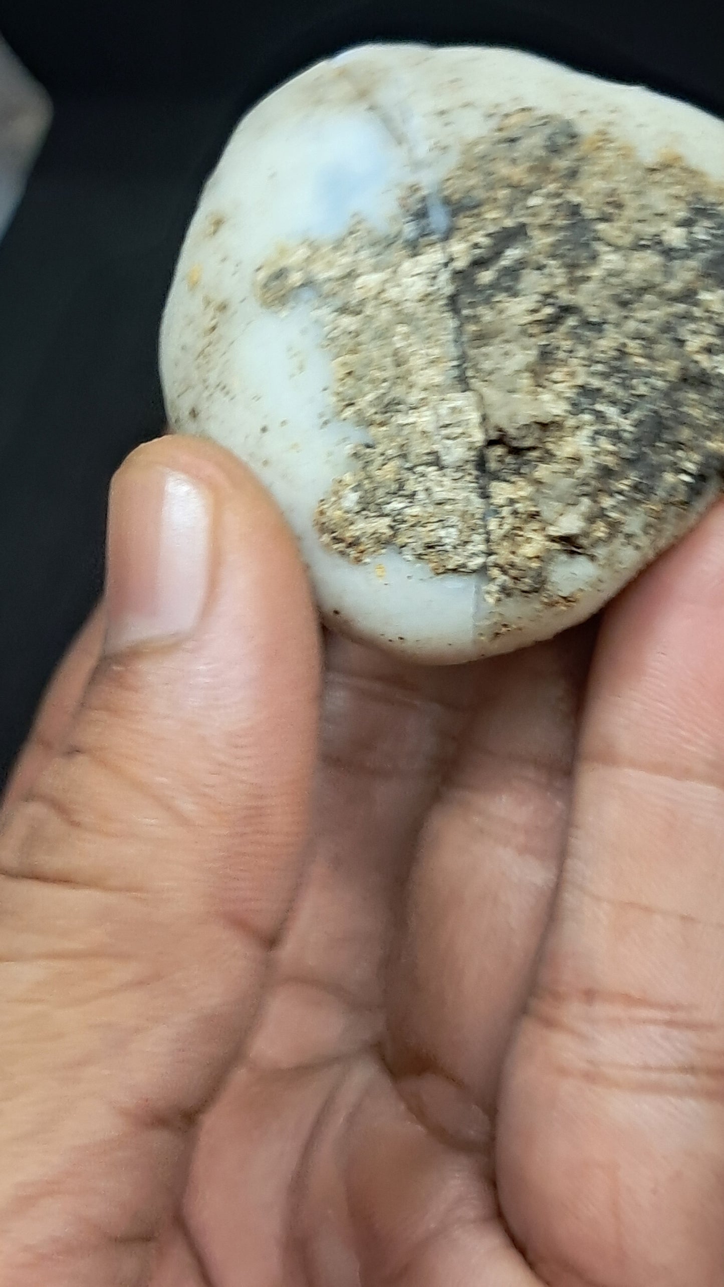 Amethyst Geode (Ajanta) | Deep Cavity | Natural Crystal | Rough Stone #GD32