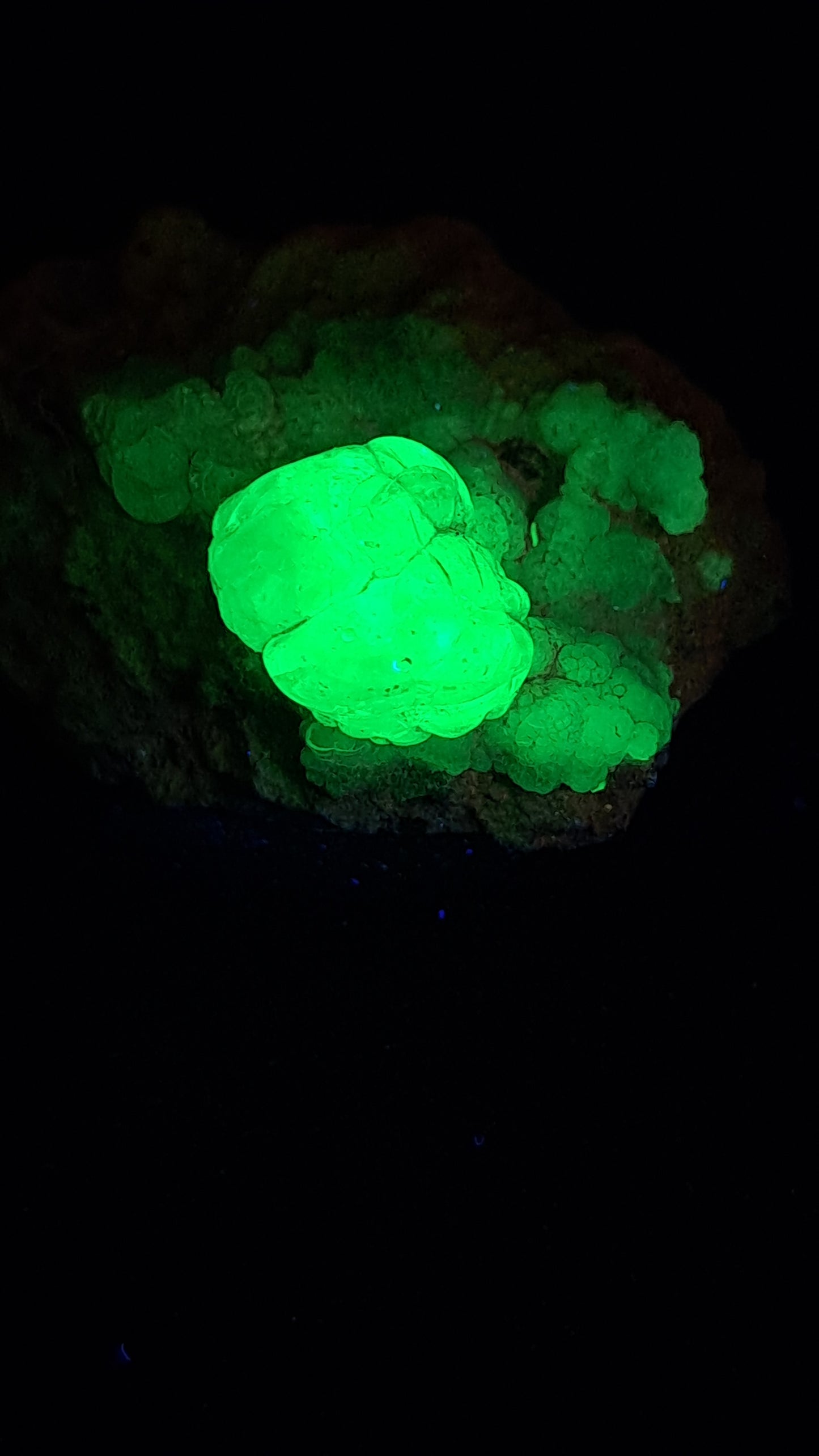 Hyalite Opal on Matrix (Mexico) Rough Crystal Stone | UV-Reactive Mineral Specimen #OH1