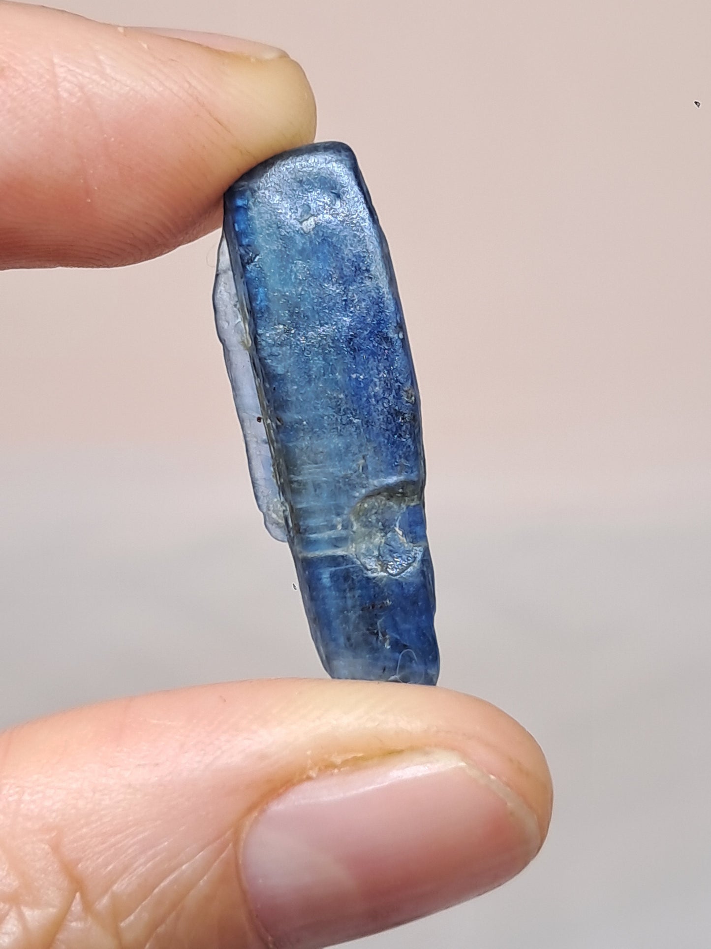 Set of 3 Blue Kyanites (Nepal) Natural Crystals #KY24