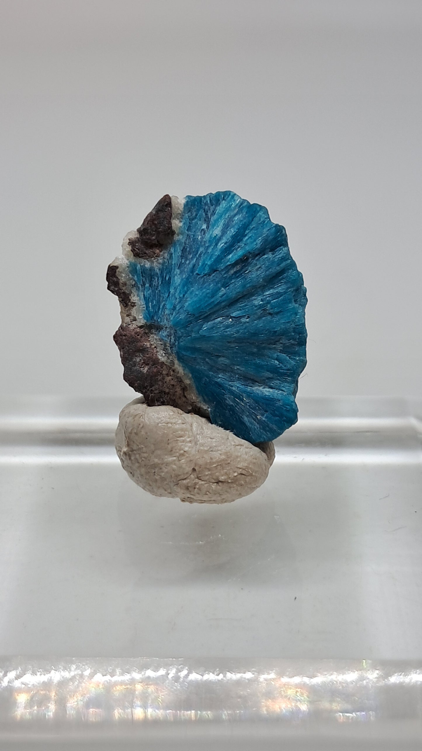 Cavansita sobre matriz (Wagholi) Cristal en bruto | Piedra natural | Ejemplar de mineral raro #CV64