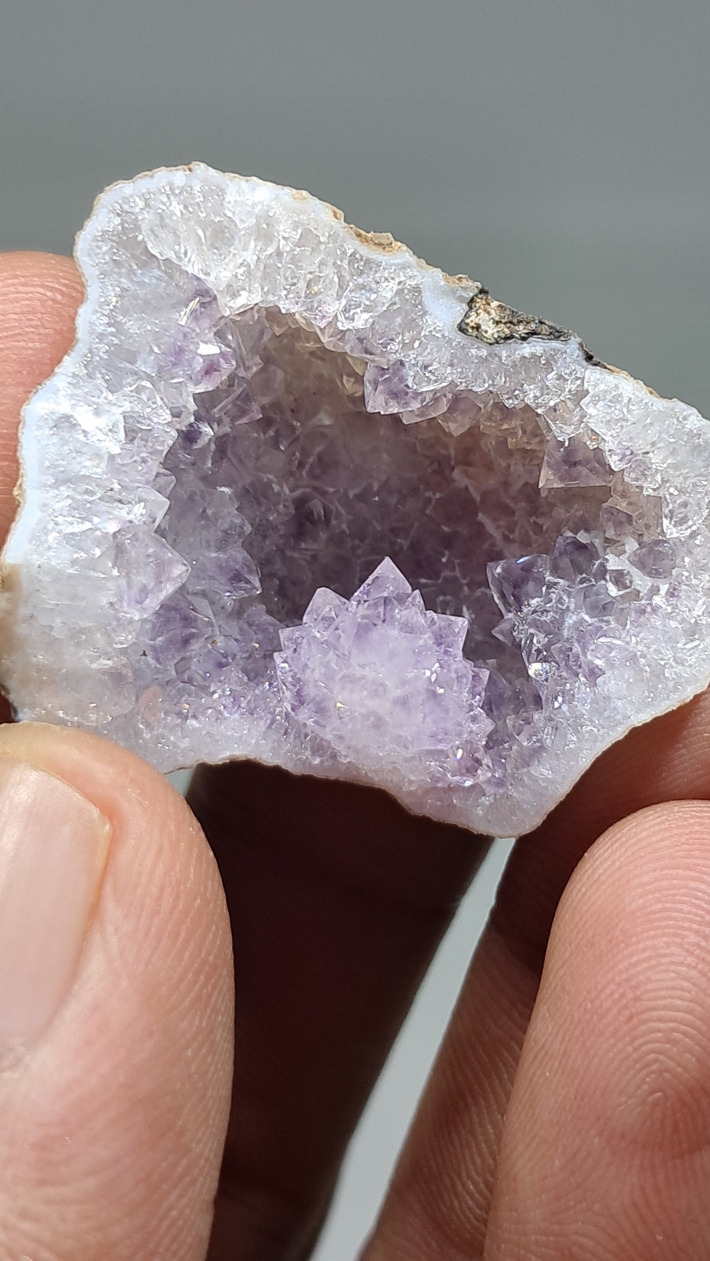 Geoda de amatista (Ajanta) | Cavidad profunda | Cristal natural | Piedra en bruto #GD29