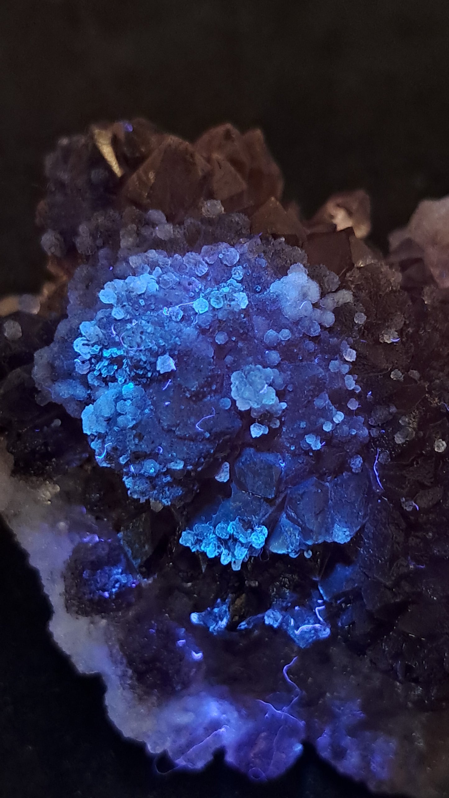 Karur Amethyst Scepter Flower w/ UV-Reactive Botryoidal Chalcedony on Quartz| Rare Formation | Mineral Specimen #KA183