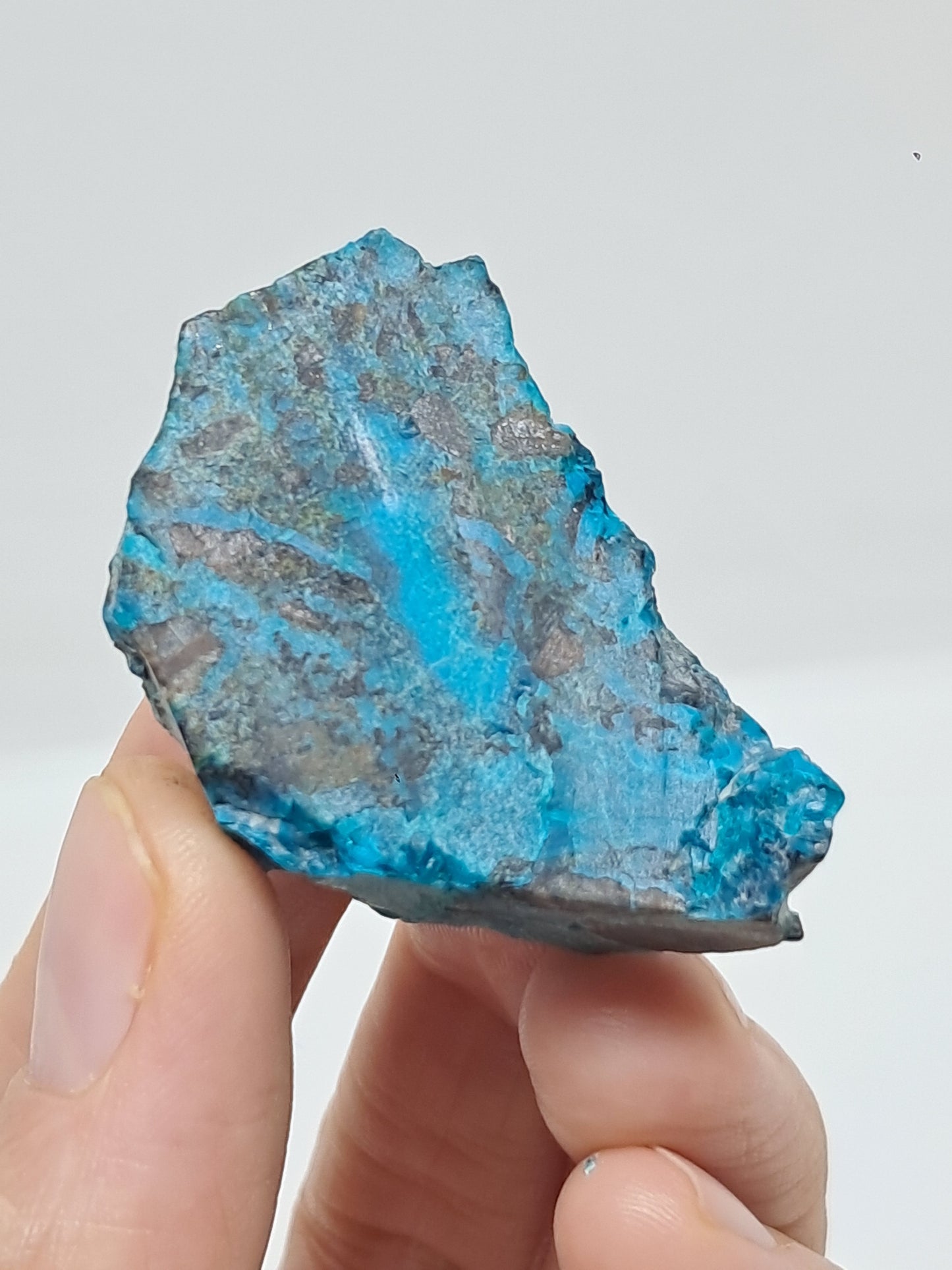 Blue Opal from Chile (Atacama) *New Find*| Rough Natural Stone | Rare Mineral Specimen #CBO2