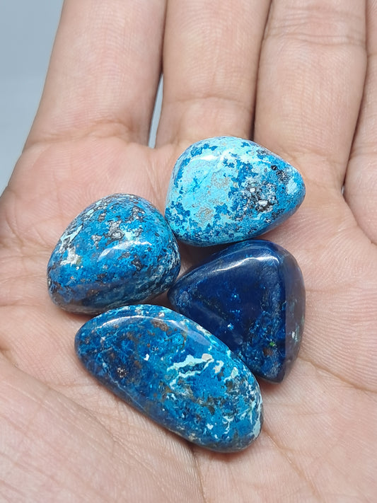 Chrysocolla w/ Azurite, Shattuckite Tumbled | Polished Natural Stone #CM16