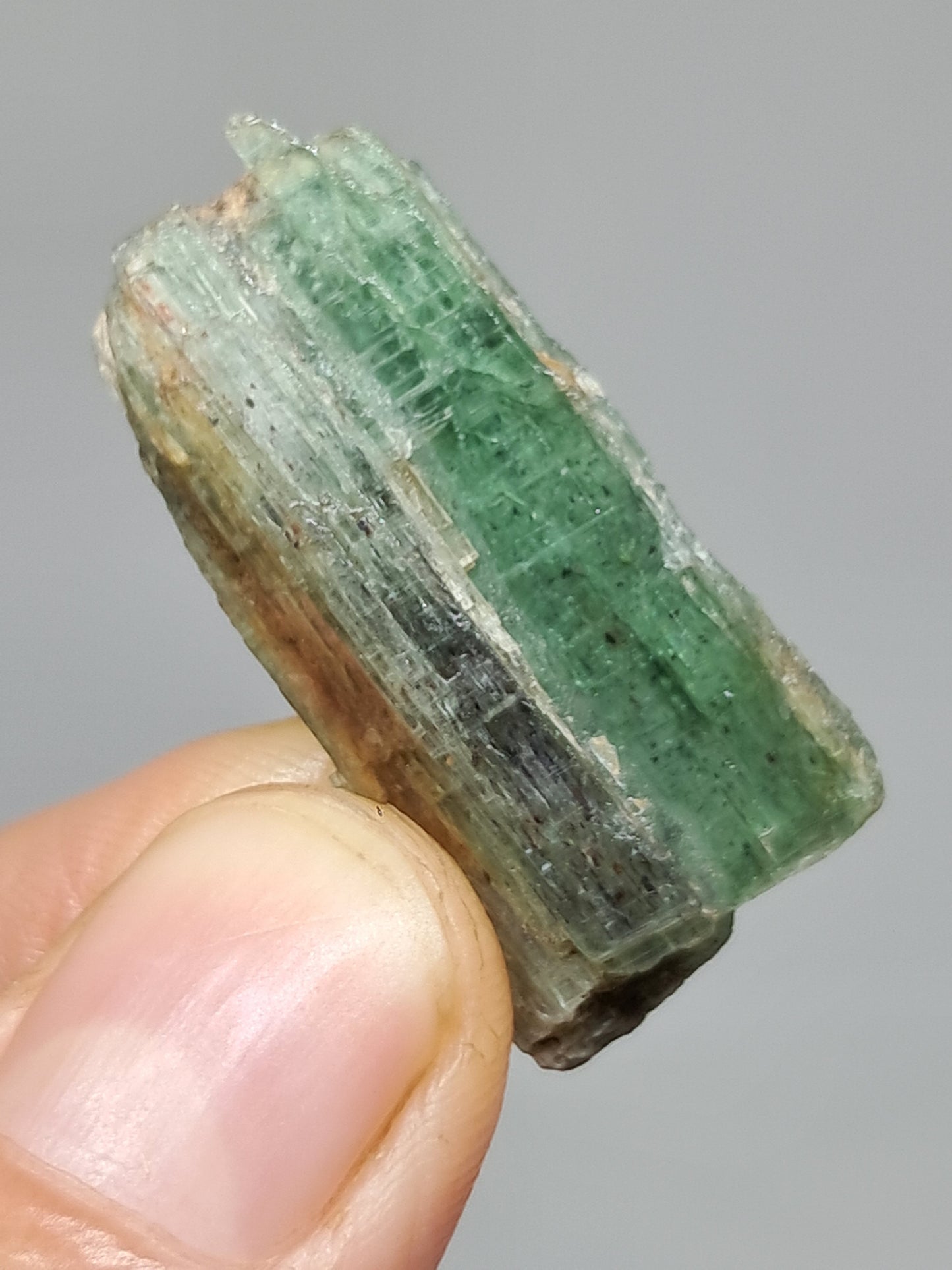 Green Kyanite (Tamil Nadu) Natural Crystal #KY8