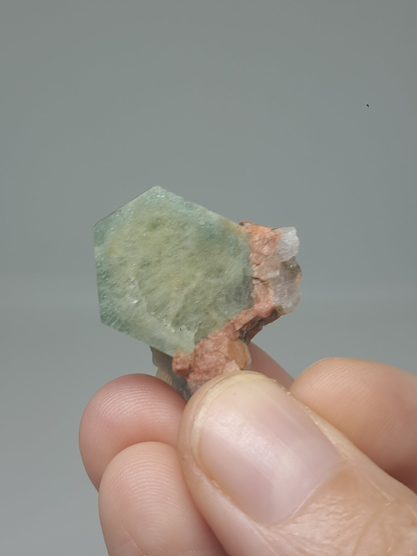 Aquamarine on Matrix (Karur) Rough Natural Crystal | Mineral Specimen #AQM49