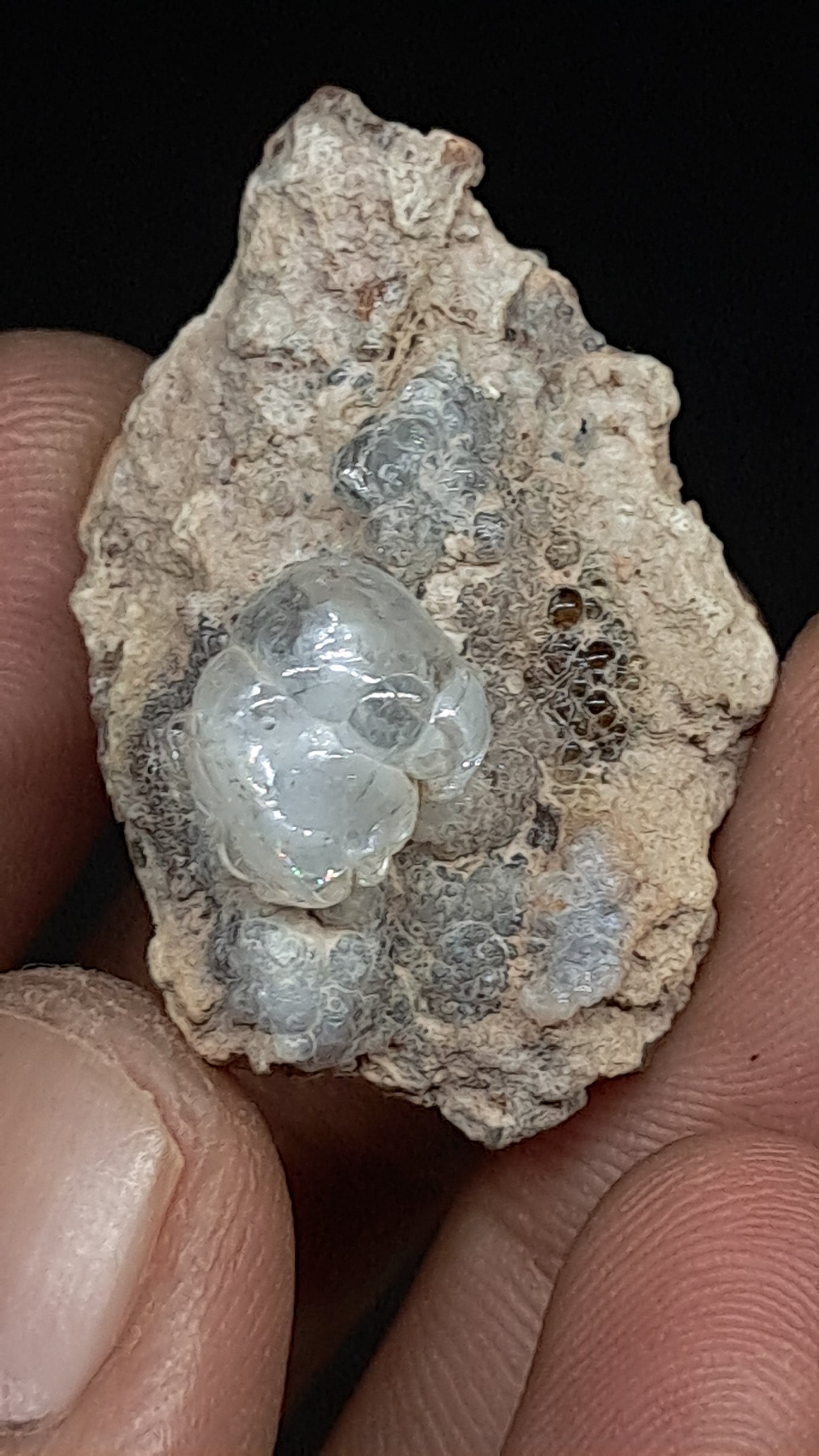Hyalite Opal on Matrix (Mexico) Rough Crystal Stone | UV-Reactive Mineral Specimen #OH1