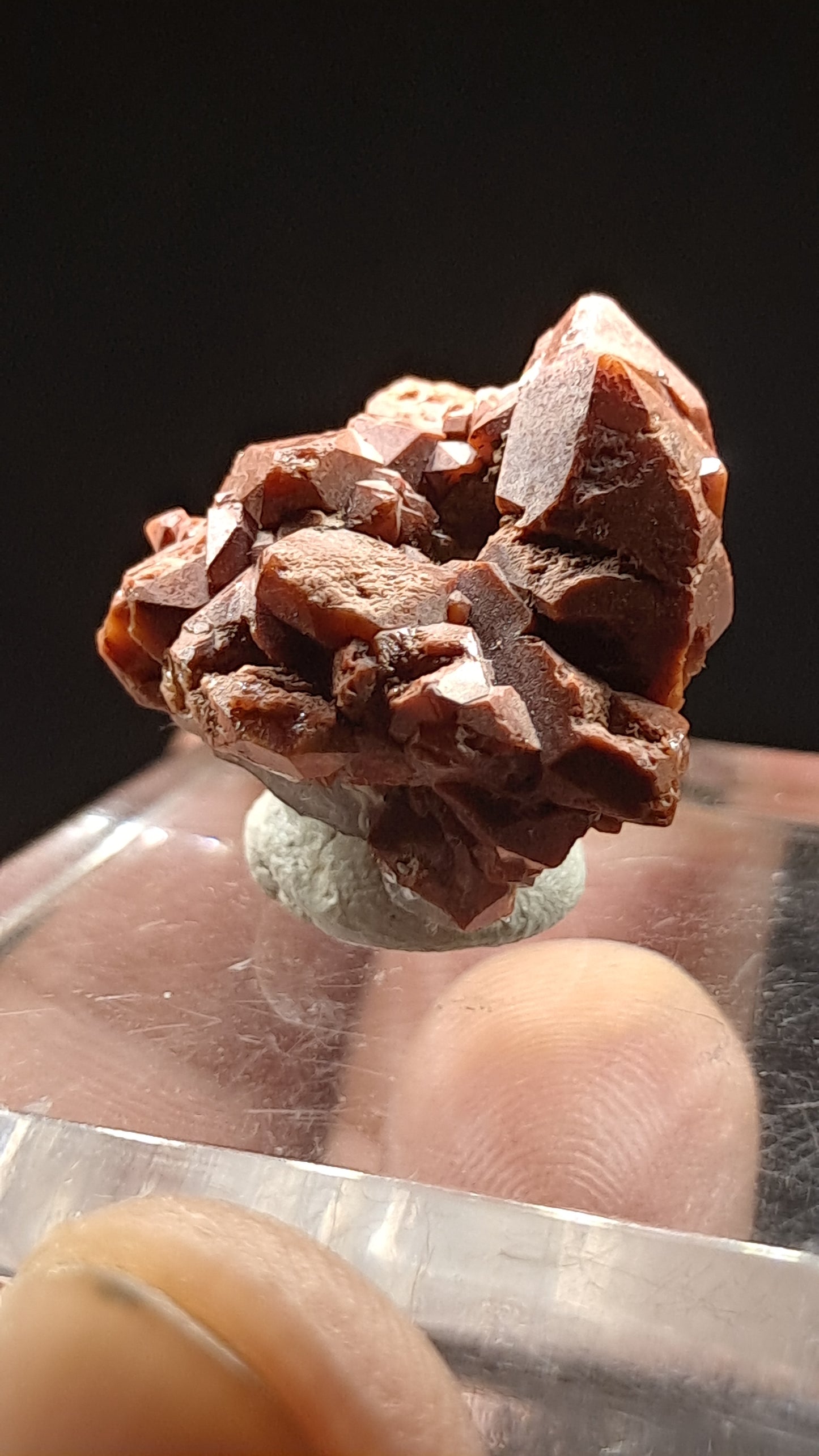 Jacinto de Compostela Quartz On Matrix | Natural Crystal | Mineral Specimen #JCQ4