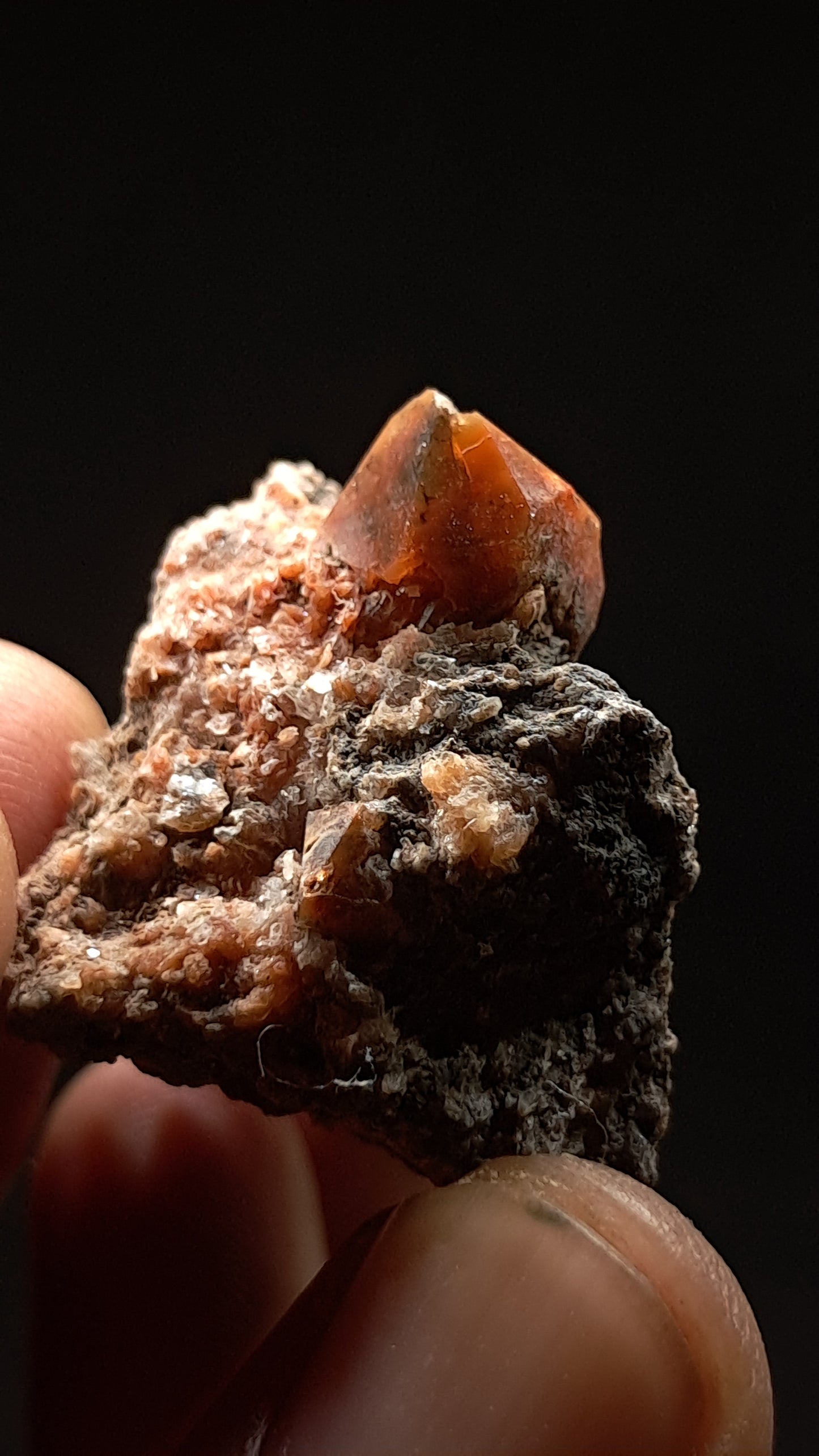 Jacinto de Compostela Quartz On Matrix | Natural Crystal | Mineral Specimen #JCQ3