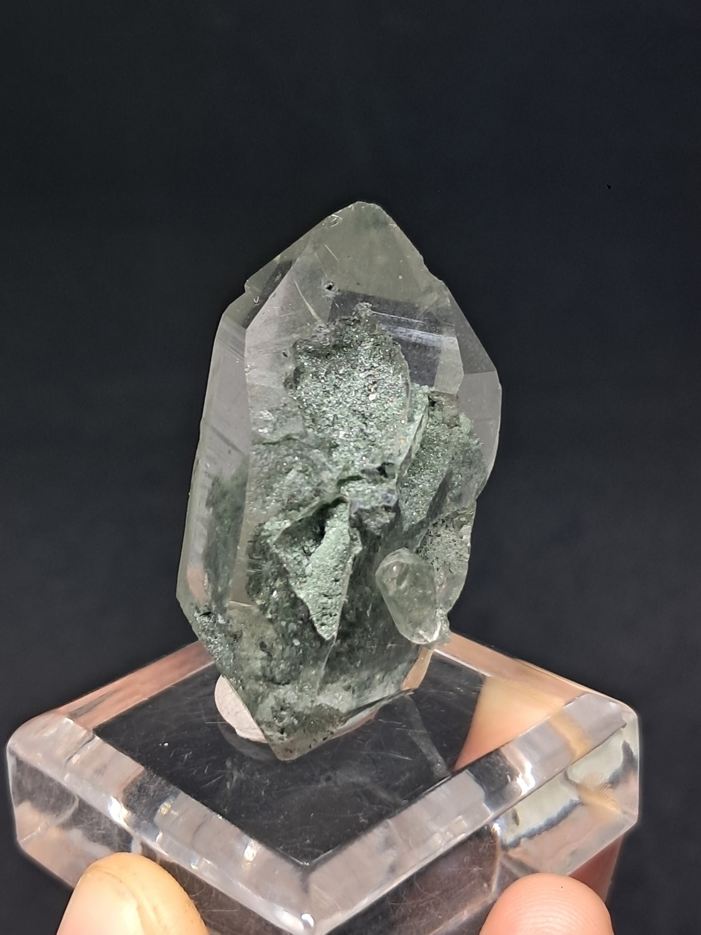 Chlorite Phantom Quartz (Kullu) Natural Crystal | Garden Chamanic #CQ82
