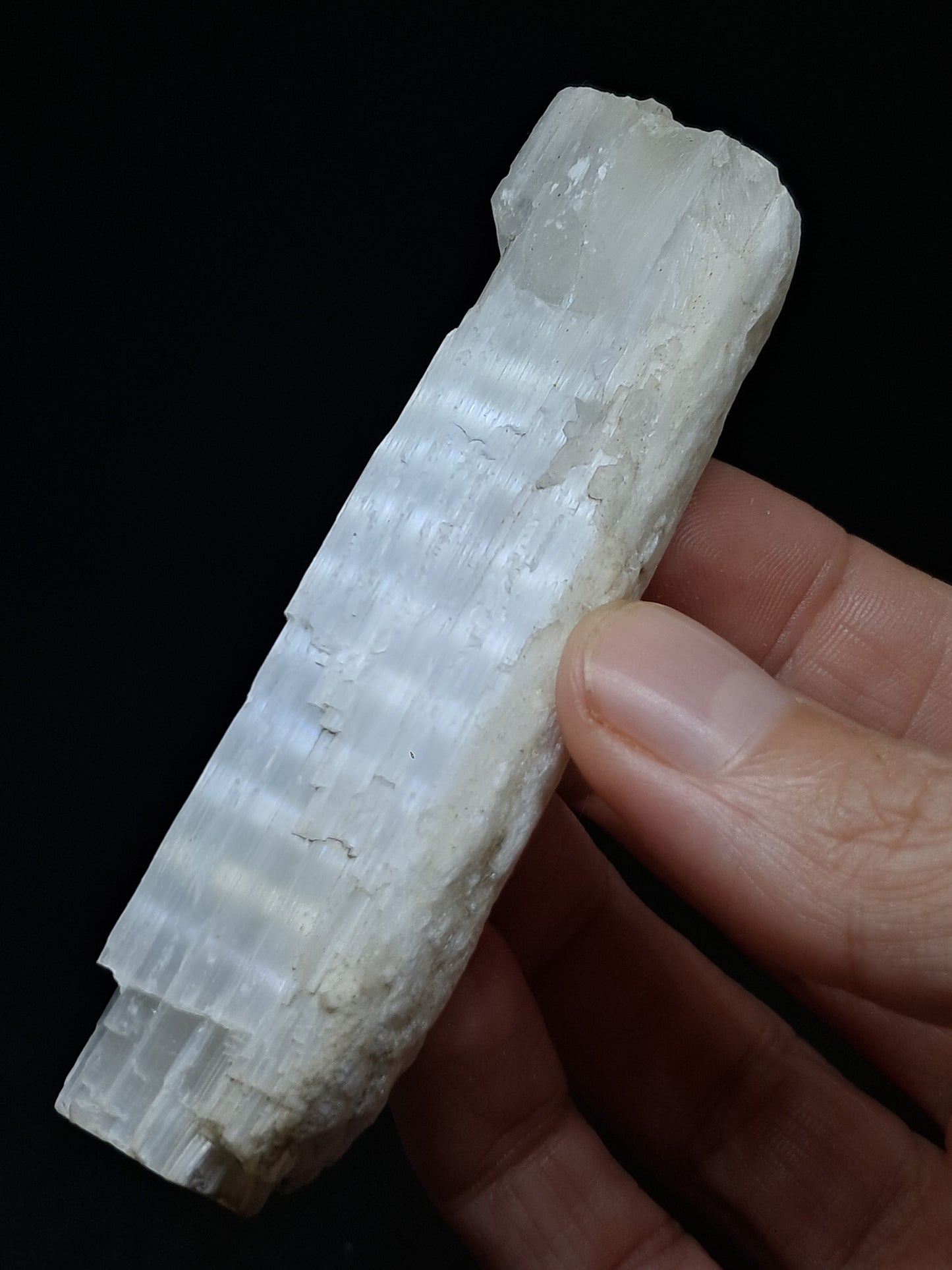 Satin Spar *Selenite* (India) Fibrous Gypsum | Mineral Specimen | Rough Crystal #SE2
