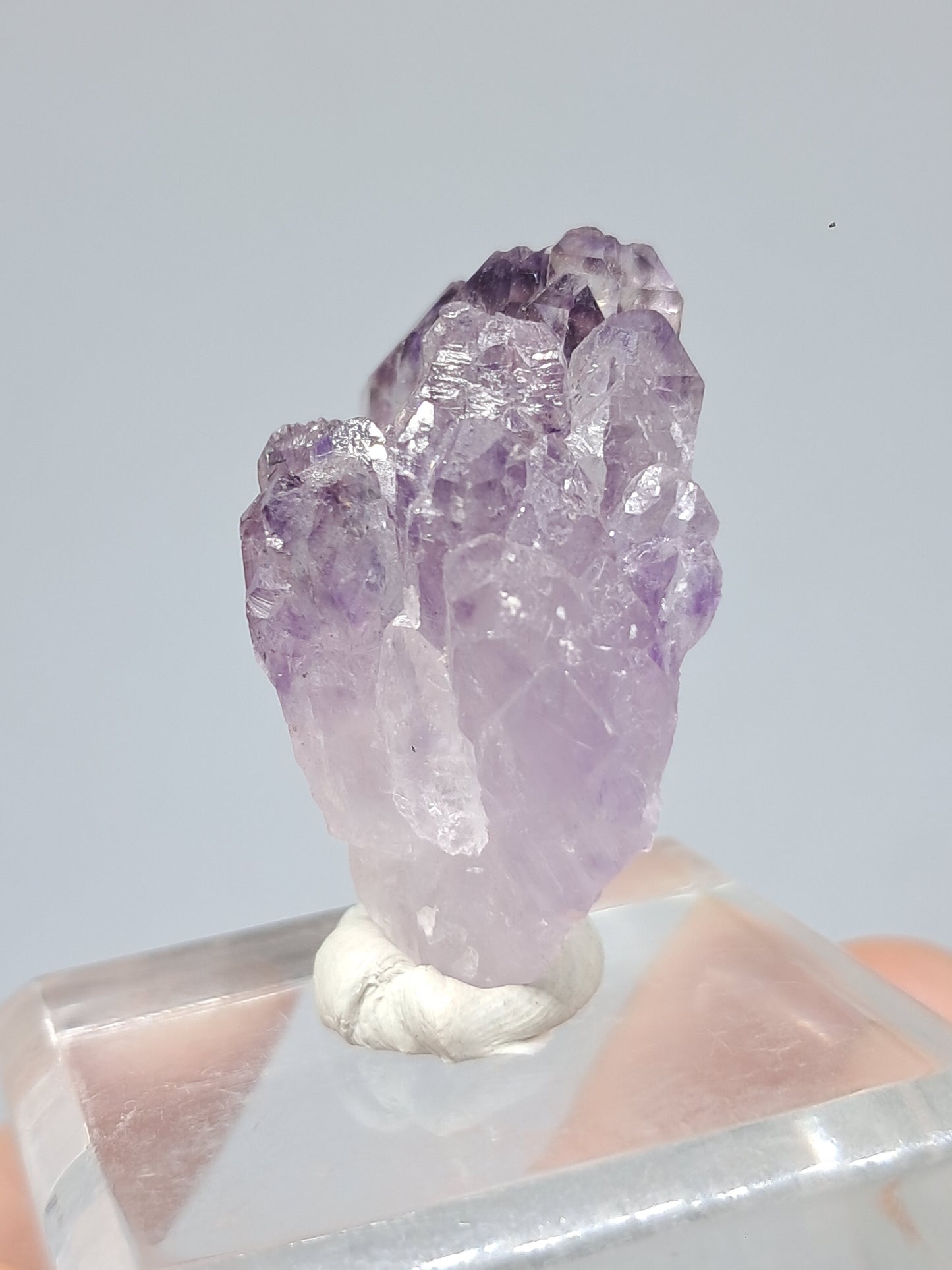 Cúmulo de cetro de amatista con rutilo y arcoíris (Karur) | Piedra natural | Ejemplar mineral n.° KA81
