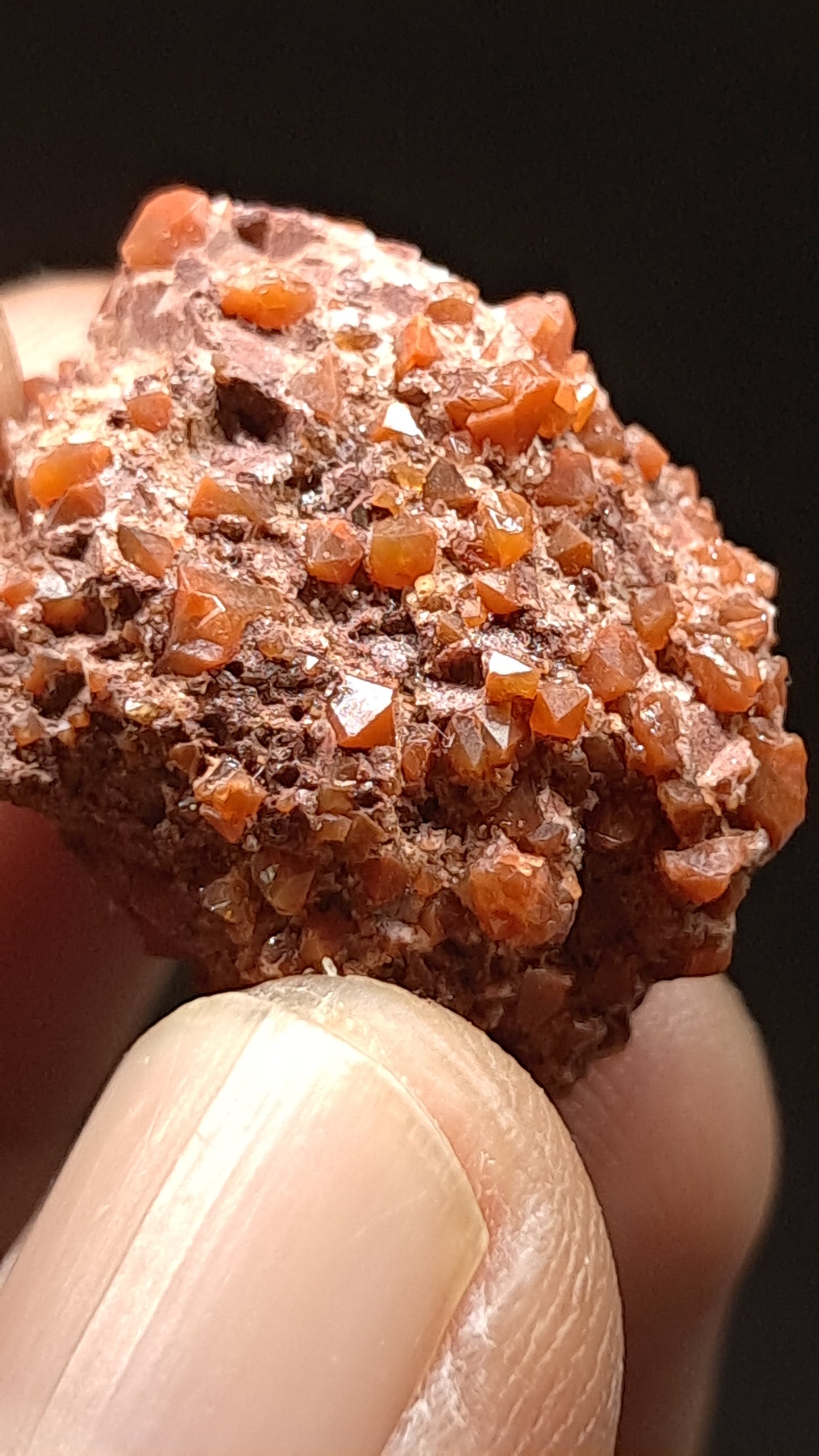 Jacinto de Compostela Quartz On Matrix | Natural Crystal | Mineral Specimen #JCQ9